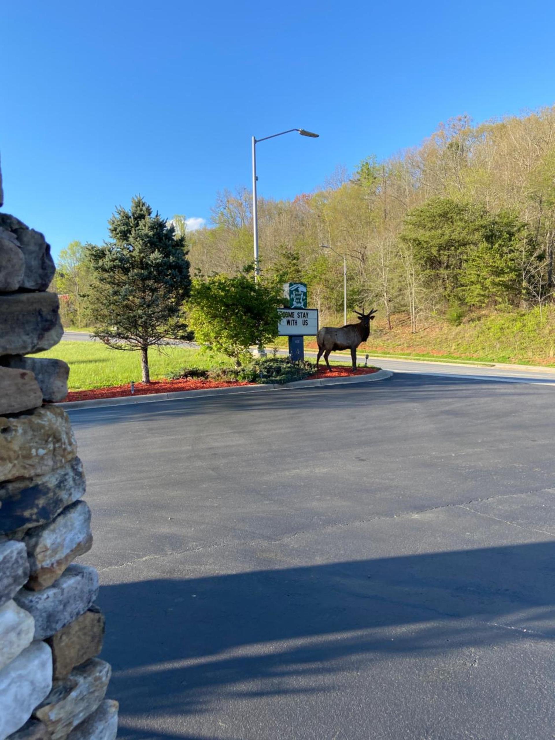 Smoky Mountain Inn & Suites photo 19