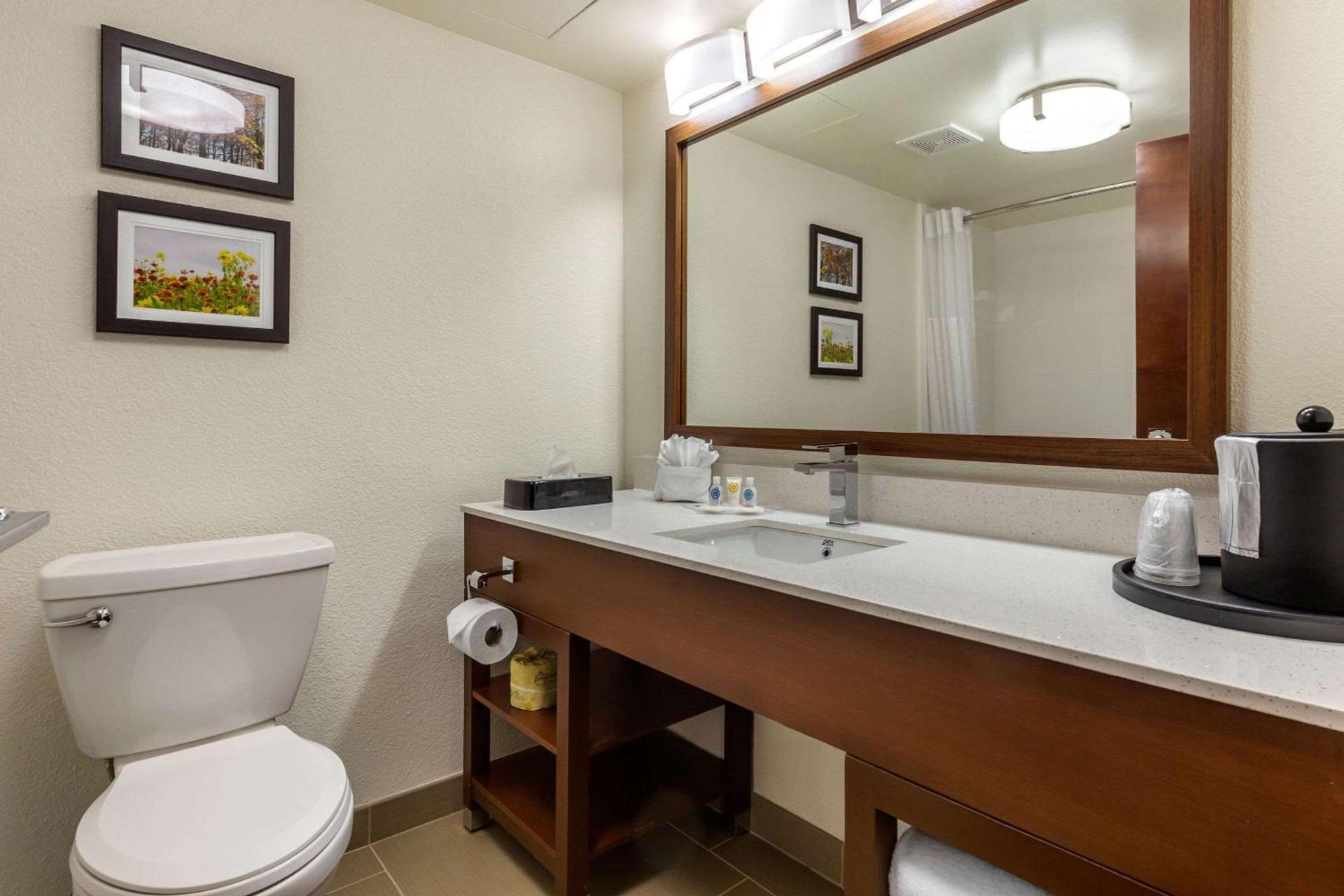Comfort Suites Hanes Mall photo 24