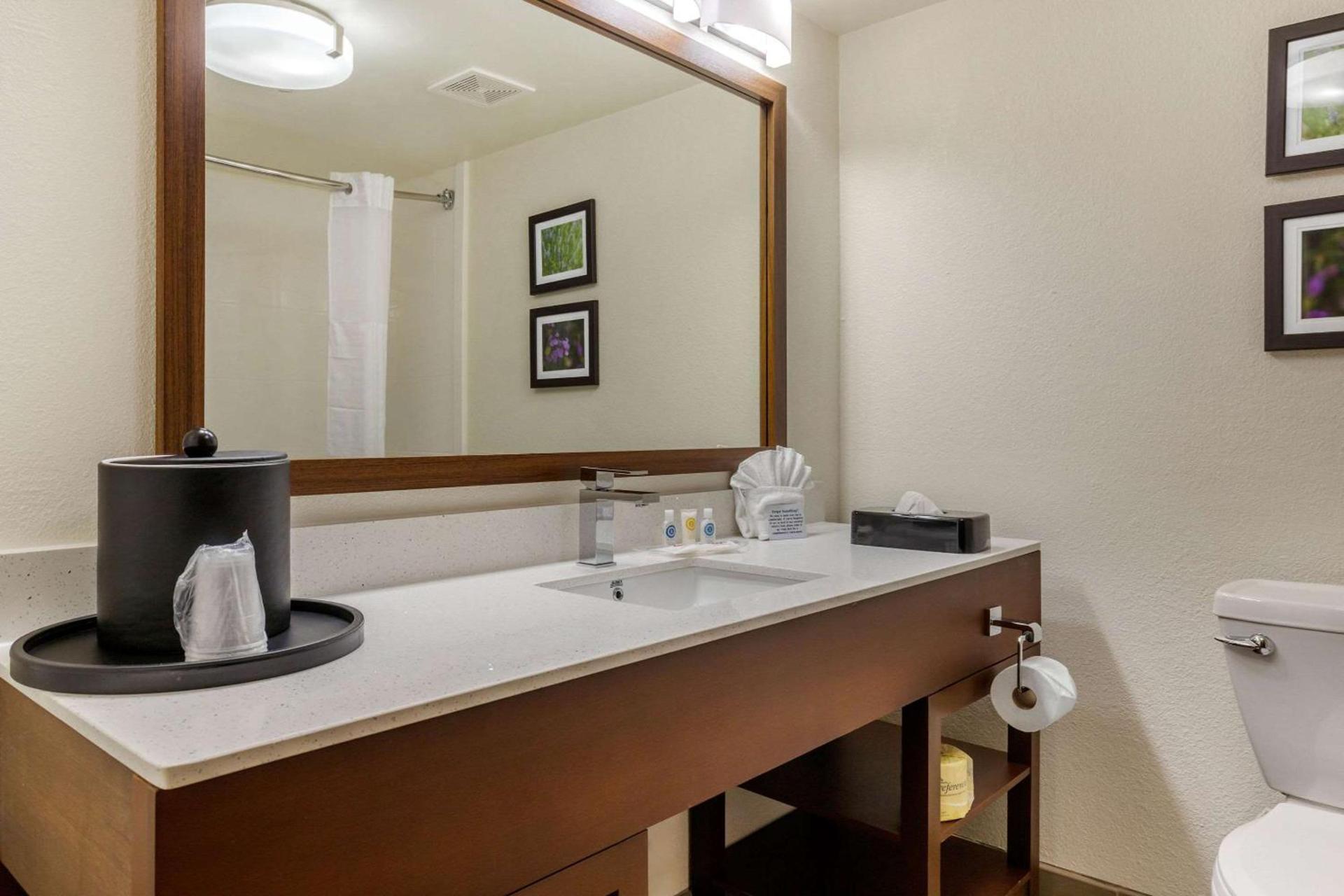 Comfort Suites Hanes Mall photo 29