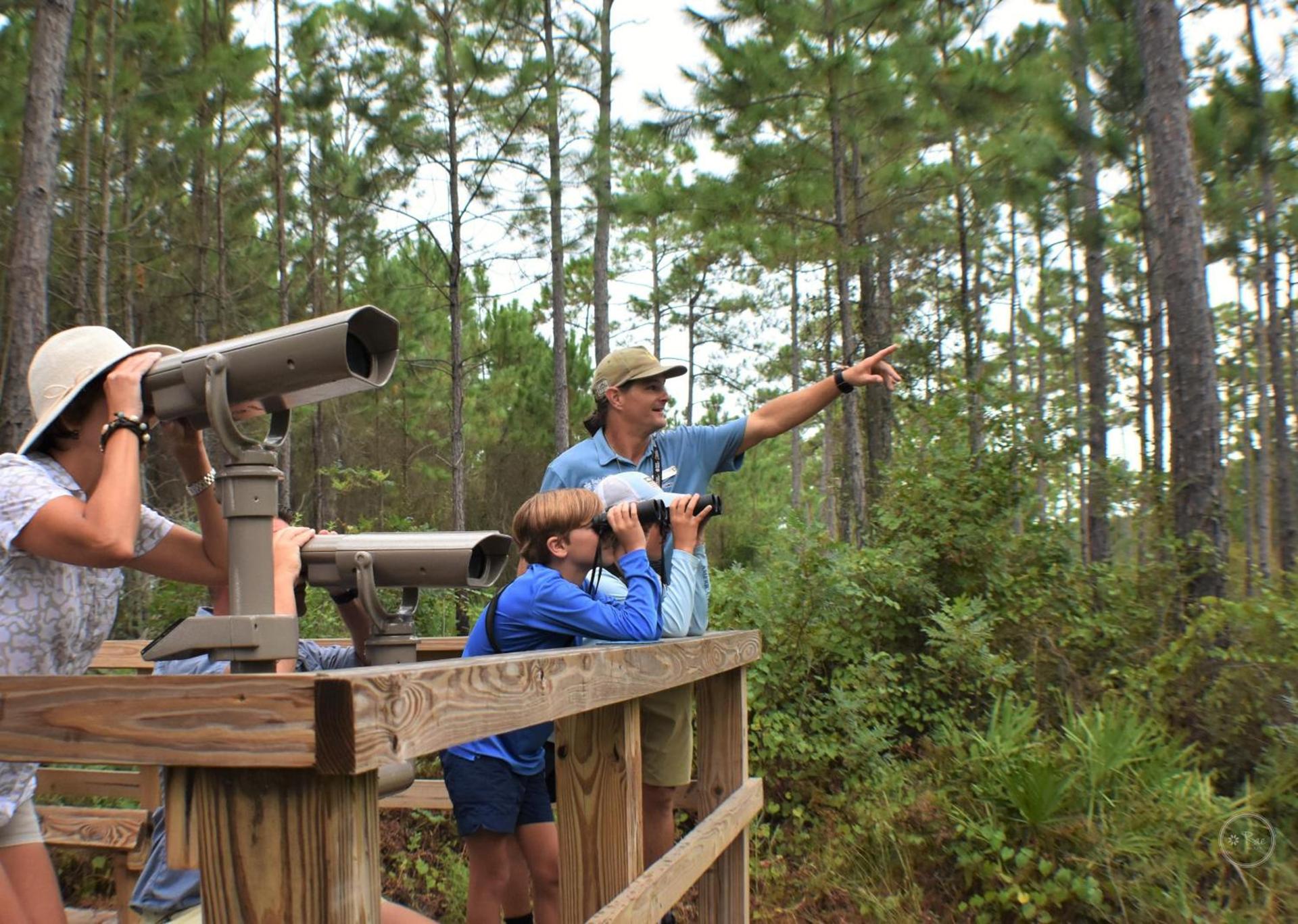 Eagle Cottages at Gulf State Park photo 24