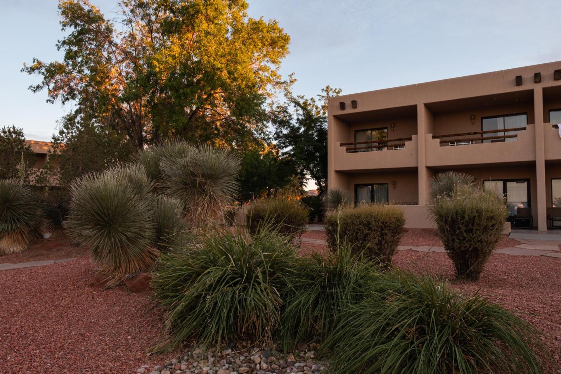 Lake Powell Resort photo 56