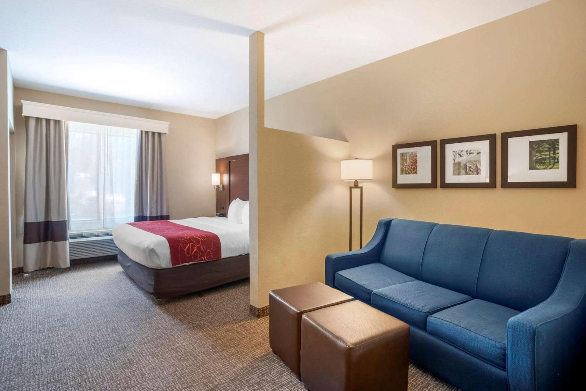 Comfort Suites Fredericksburg North photo 29