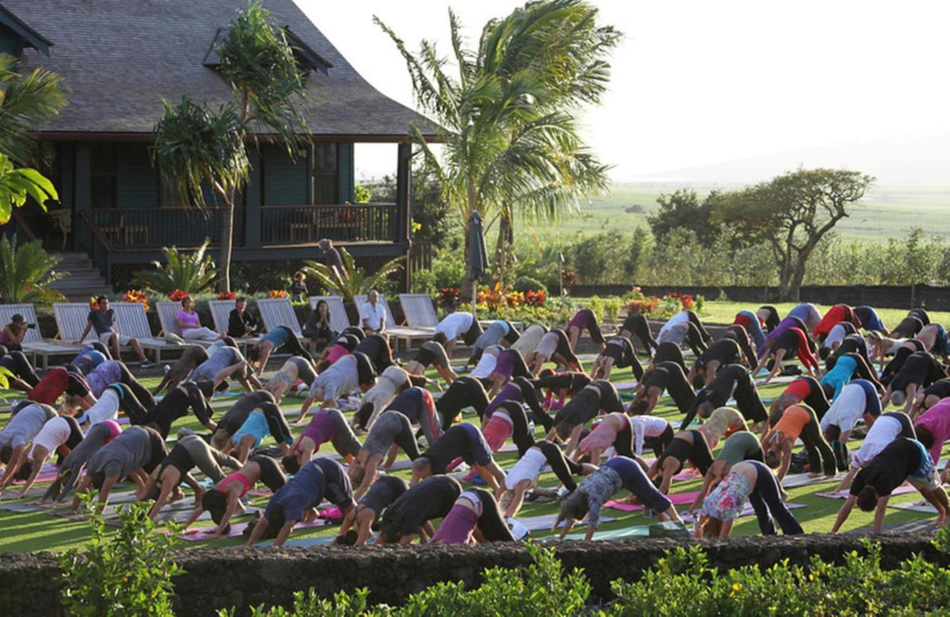 Lumeria Maui, Wellness Retreat Center photo 40