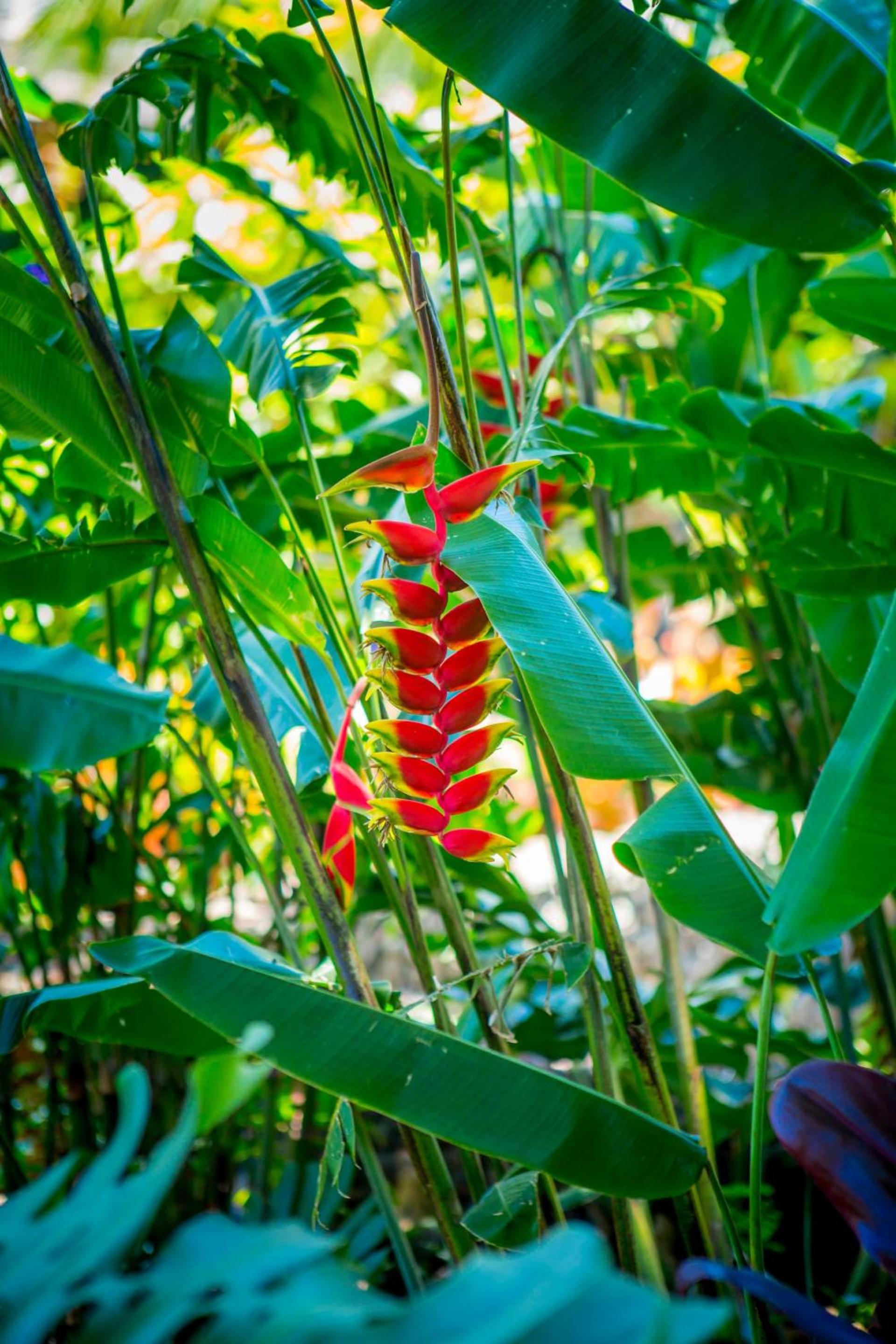 Lumeria Maui, Wellness Retreat Center photo 48