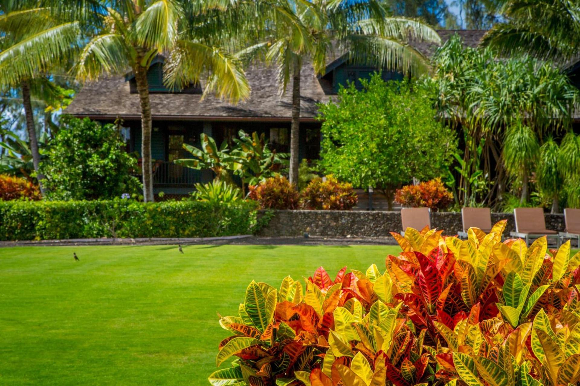 Lumeria Maui, Wellness Retreat Center photo 57