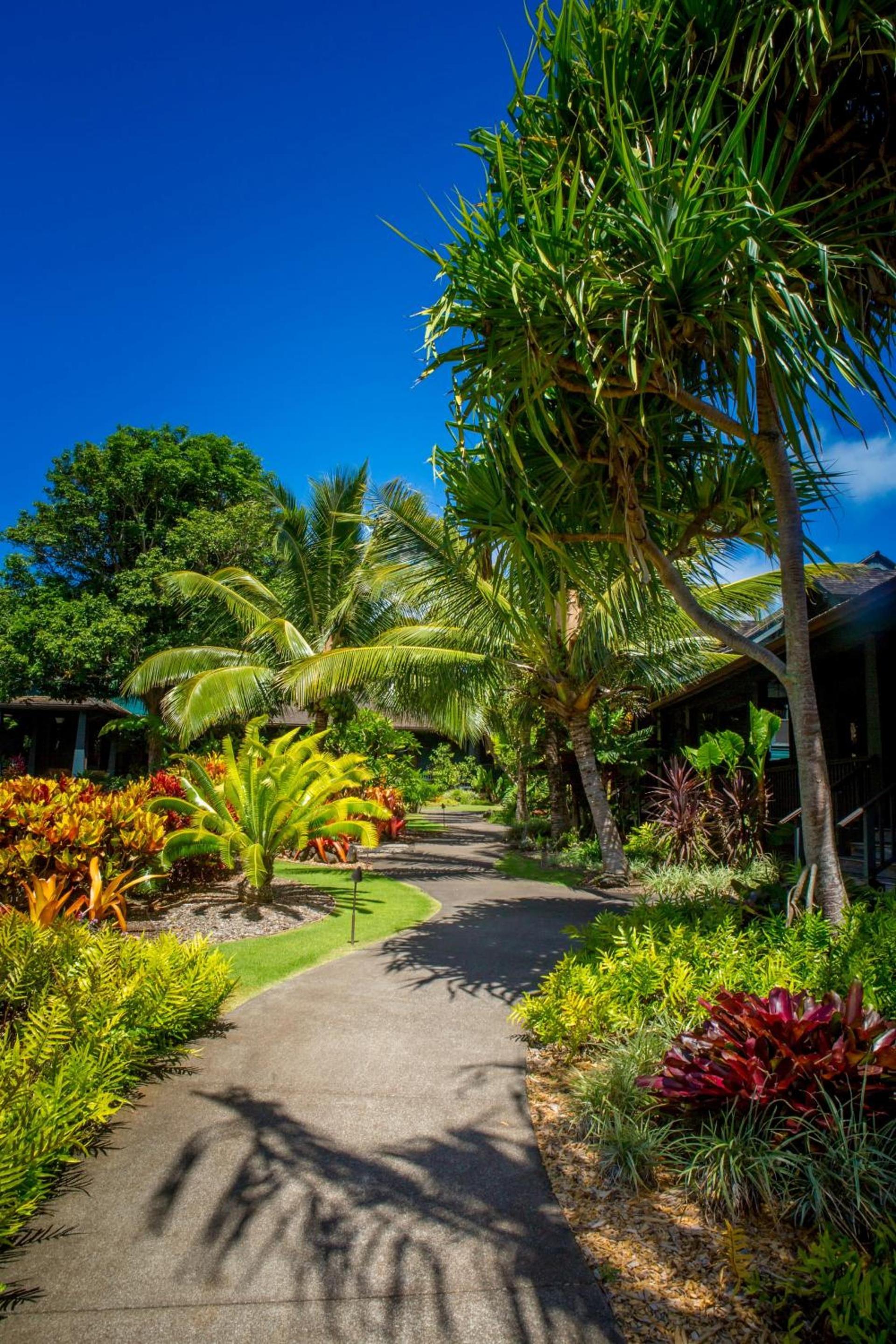Lumeria Maui, Wellness Retreat Center photo 61