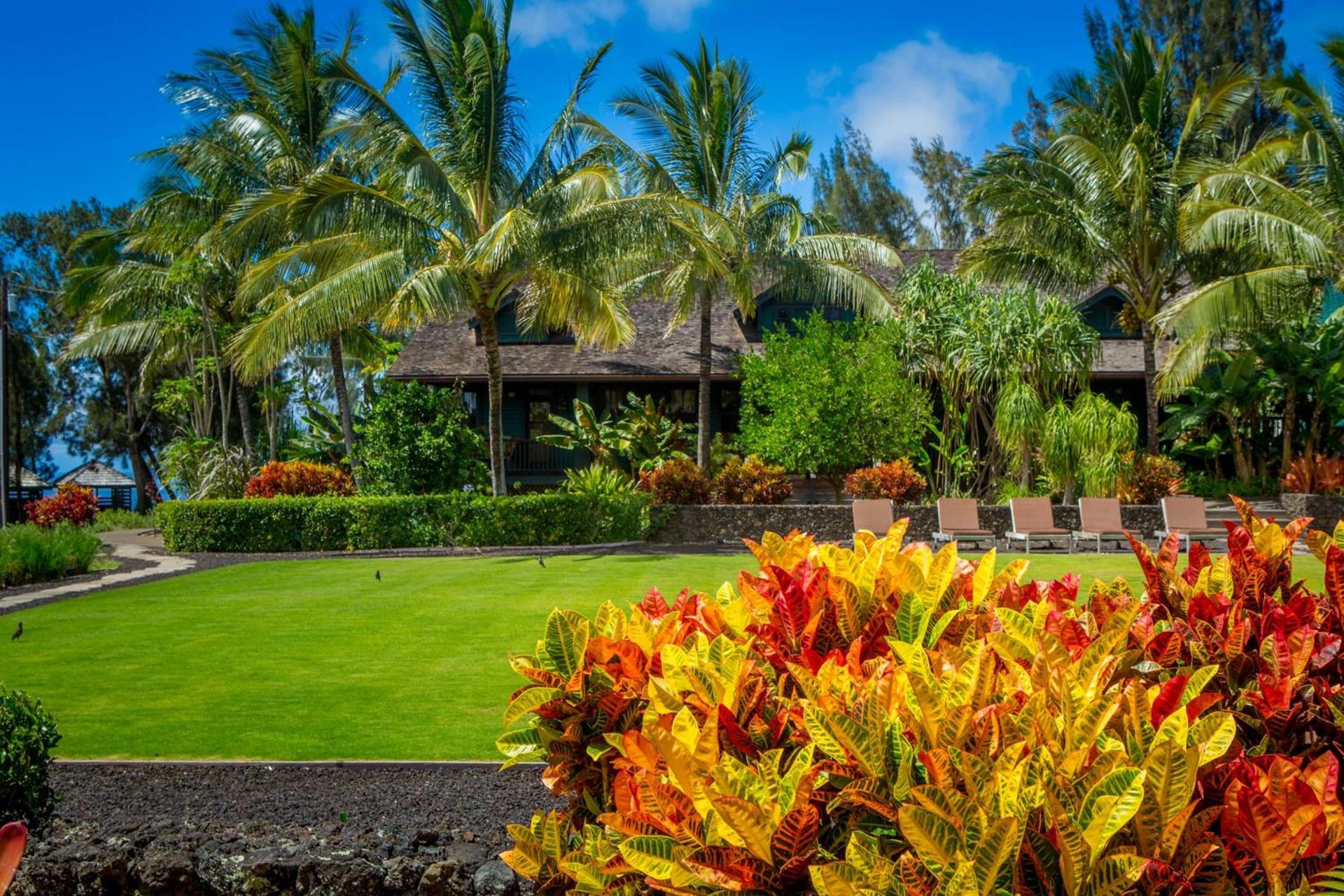 Lumeria Maui, Wellness Retreat Center photo 60