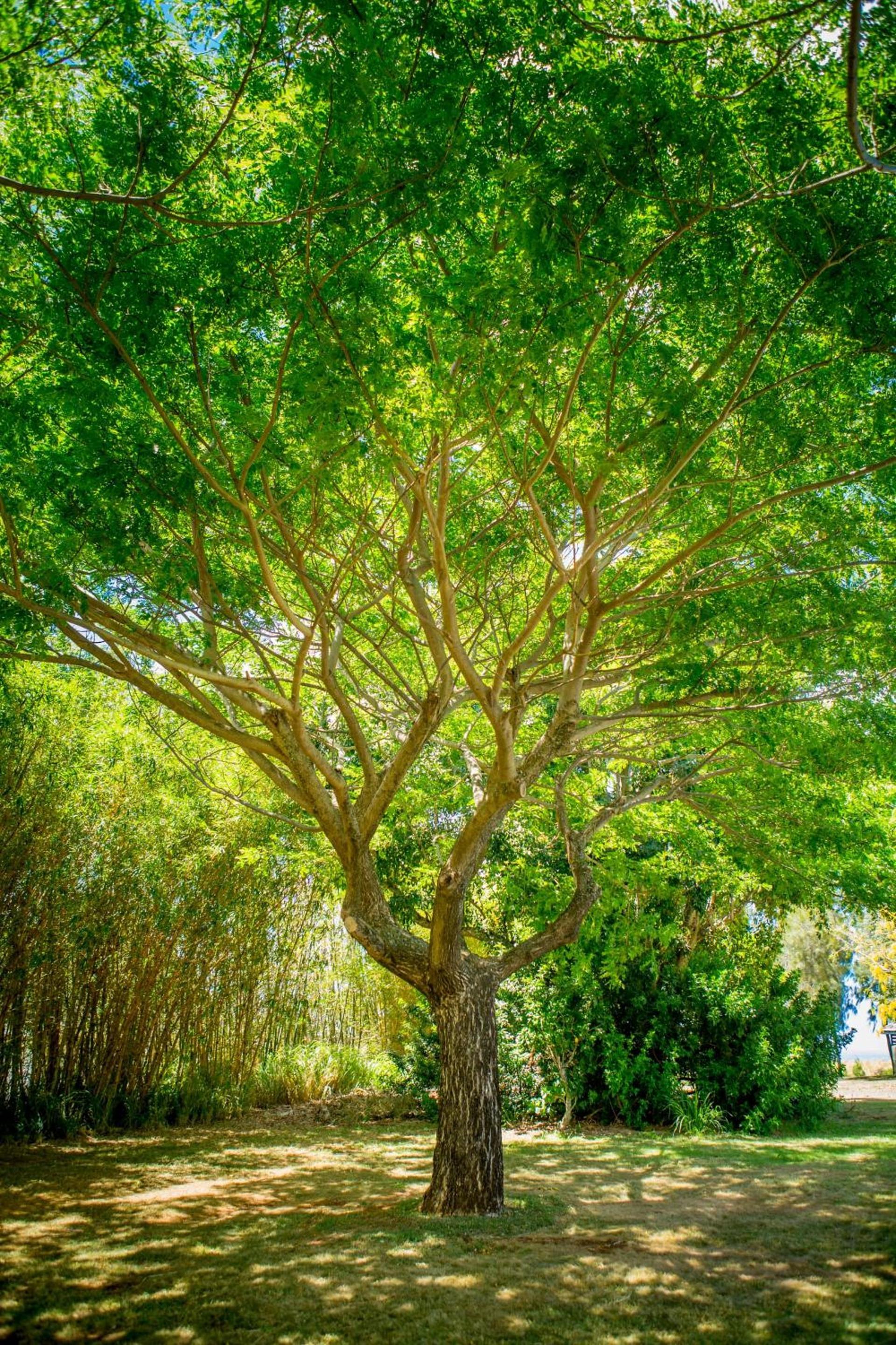 Lumeria Maui, Wellness Retreat Center photo 59