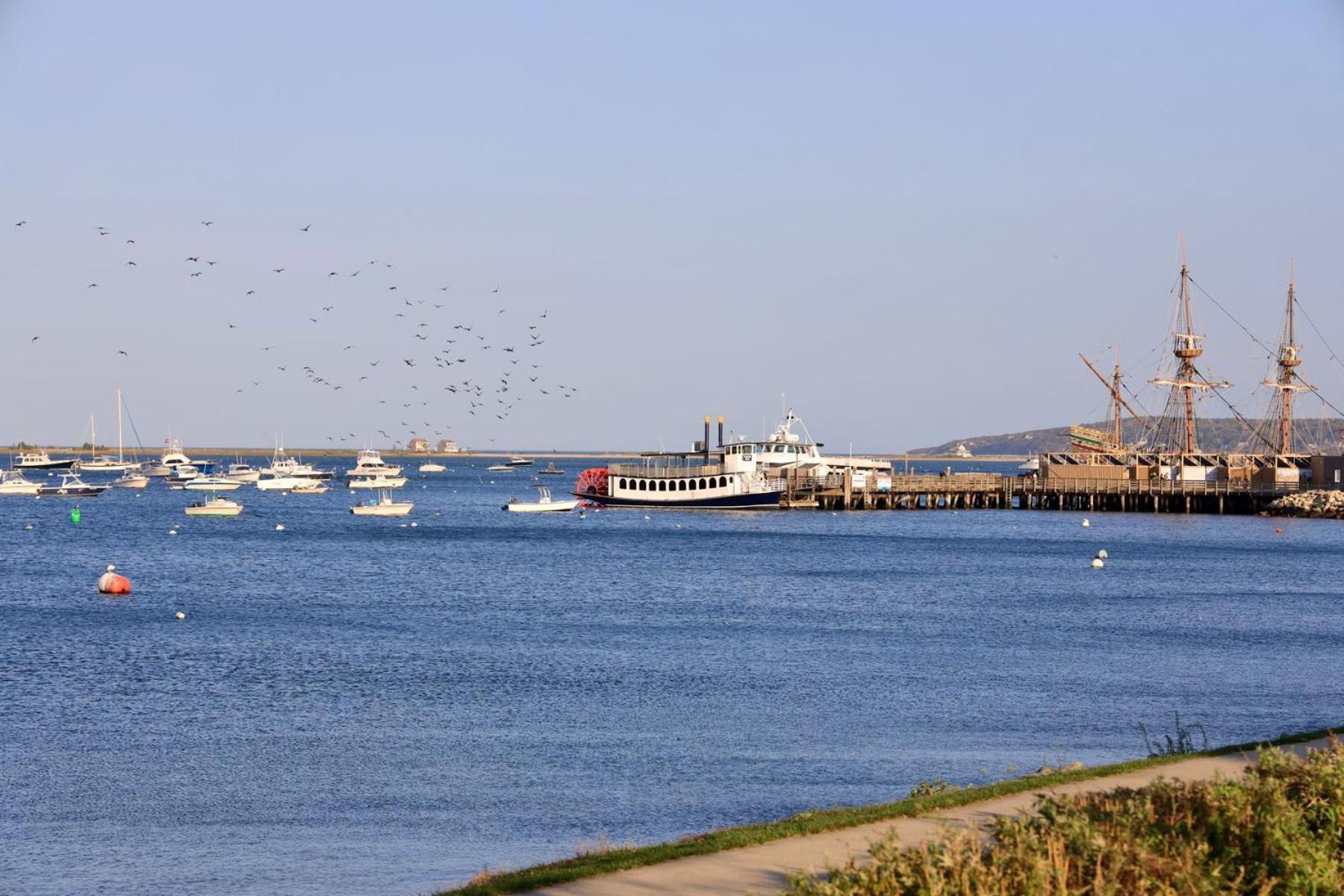 Harbourtown Suites on Plymouth Harbor photo 19