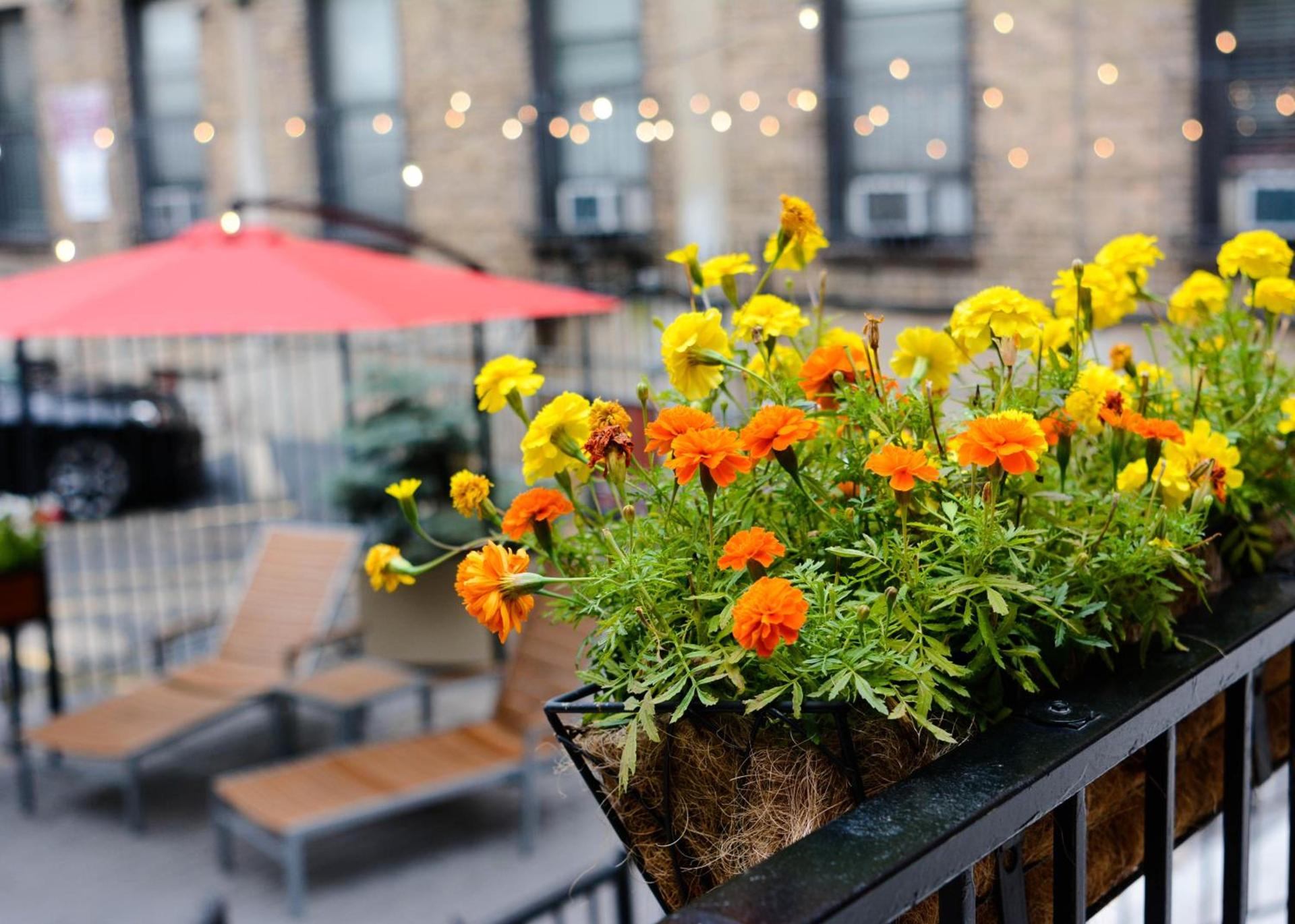 Chicago Getaway Hostel photo 17