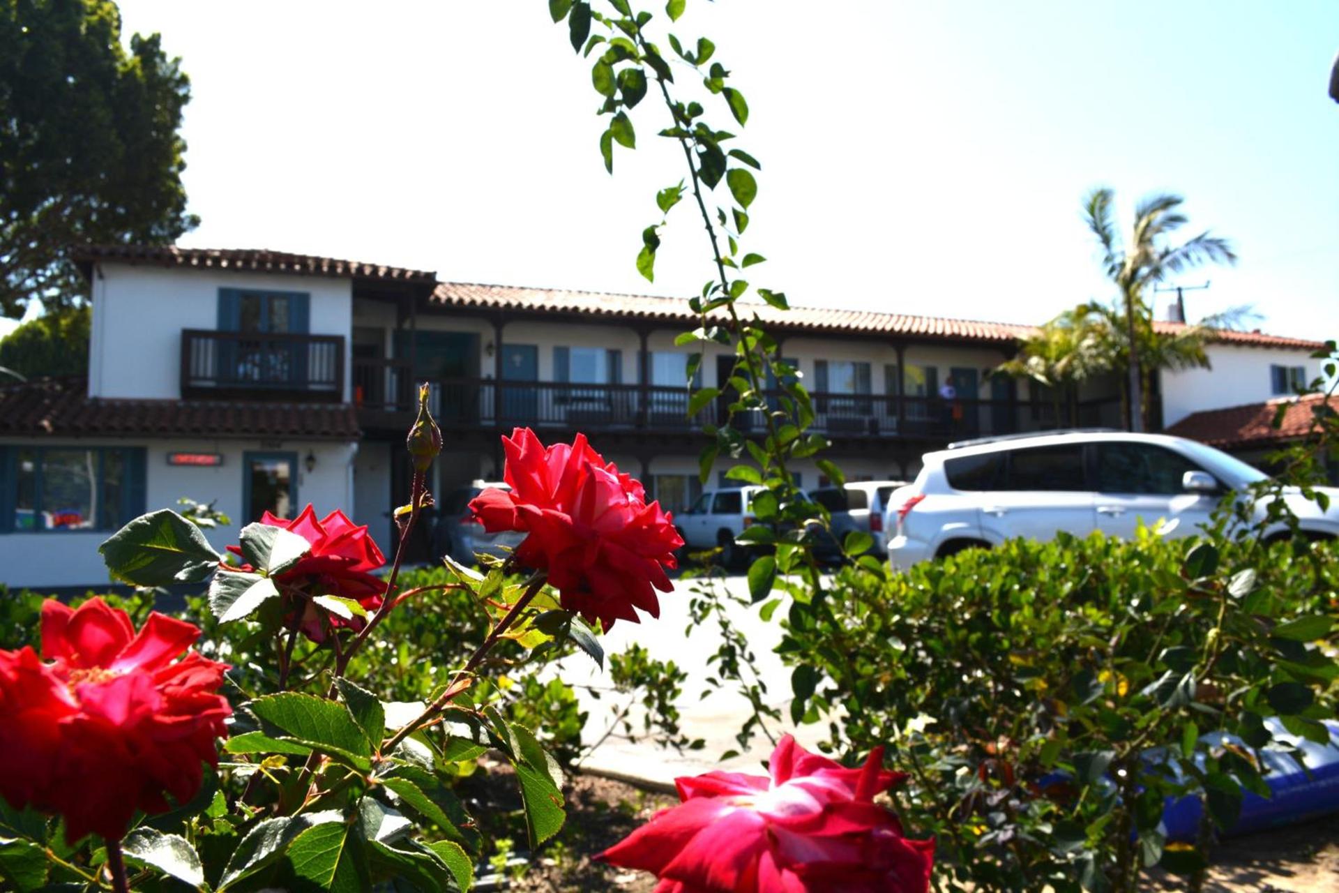 Sunset Motel photo 49