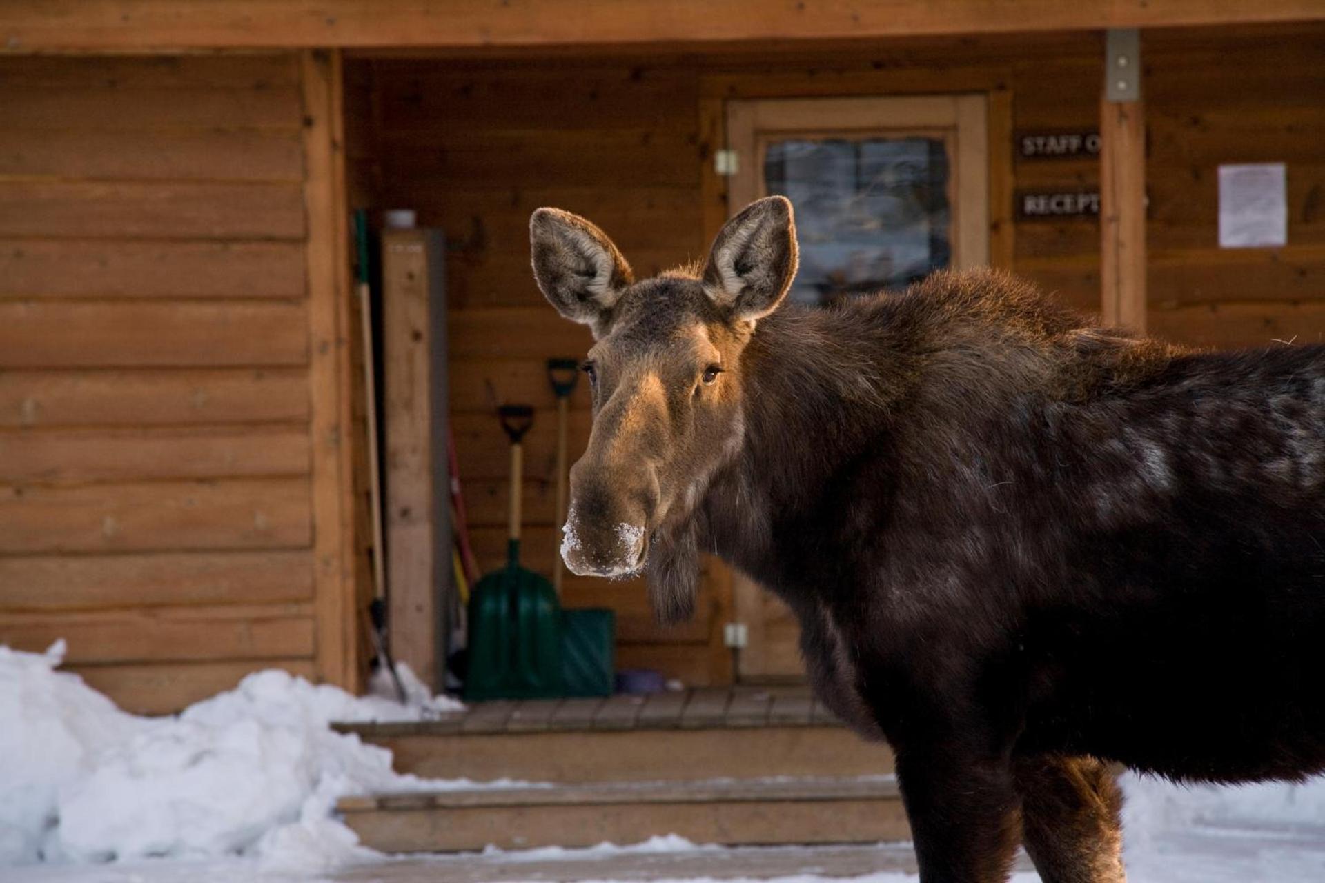 Spring Creek Ranch photo 27