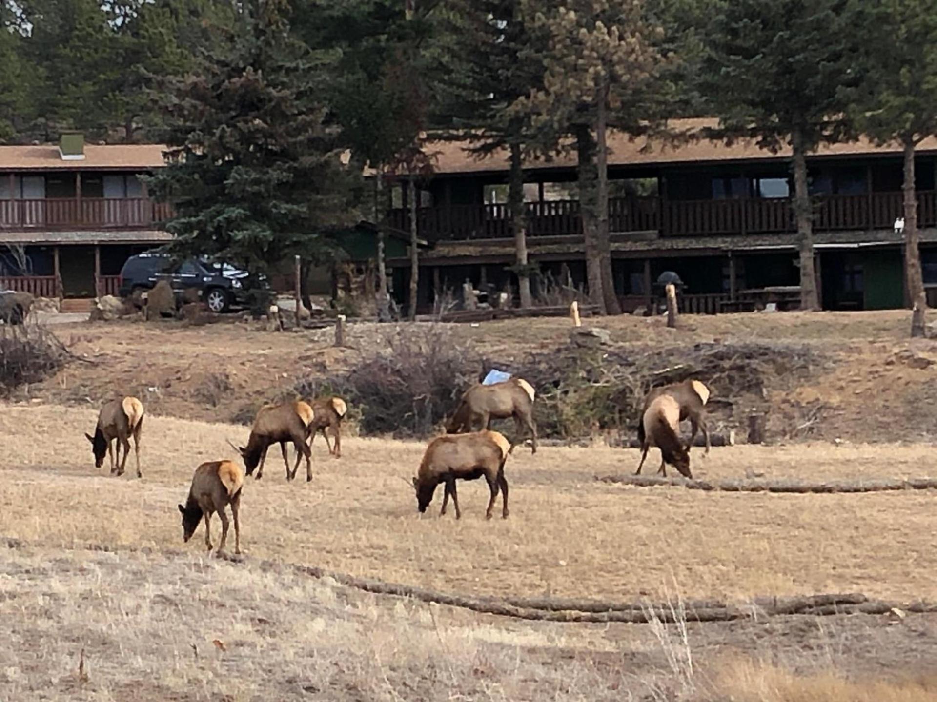 Estes Lake Lodge photo 78