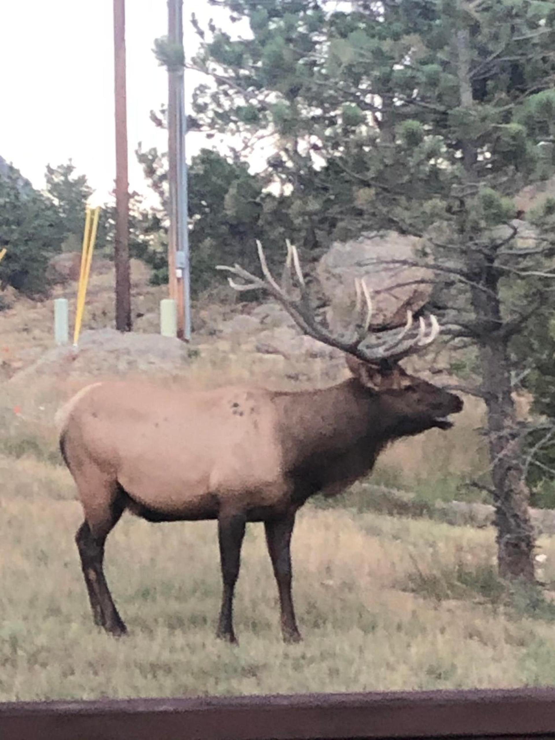 Estes Lake Lodge photo 77
