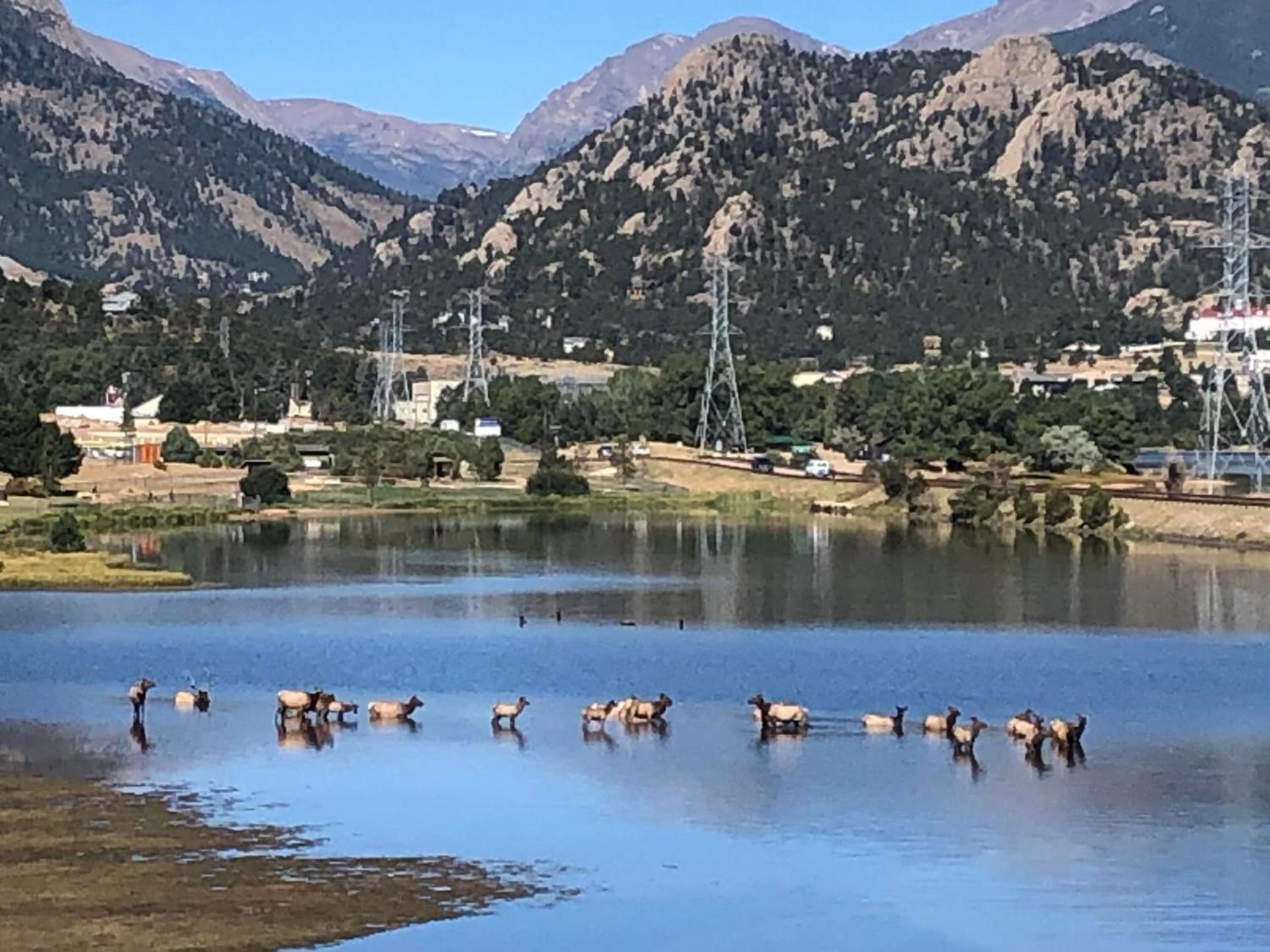 Estes Lake Lodge photo 30