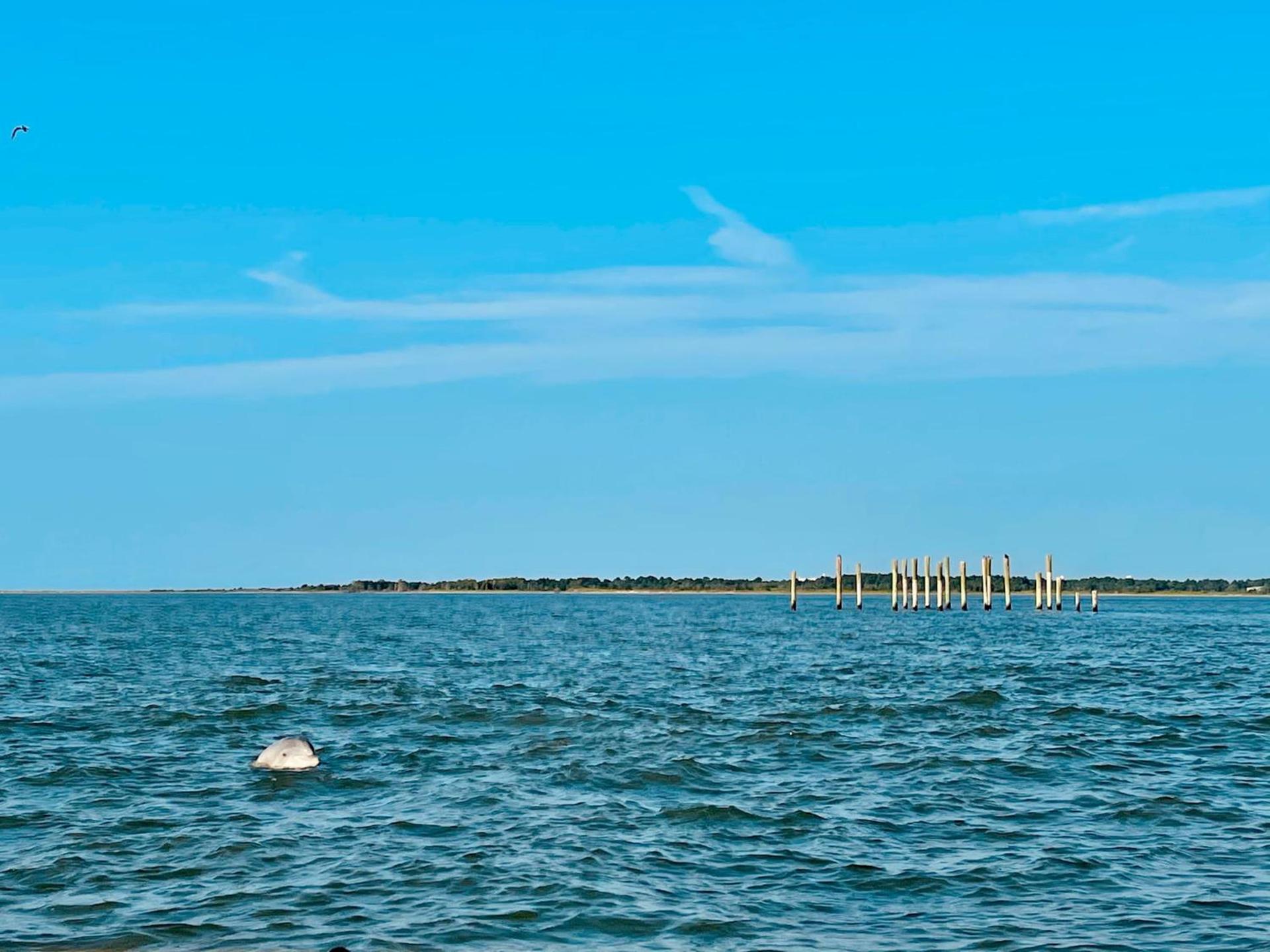 Comfort Suites Chincoteague Island Bayfront Resort photo 36
