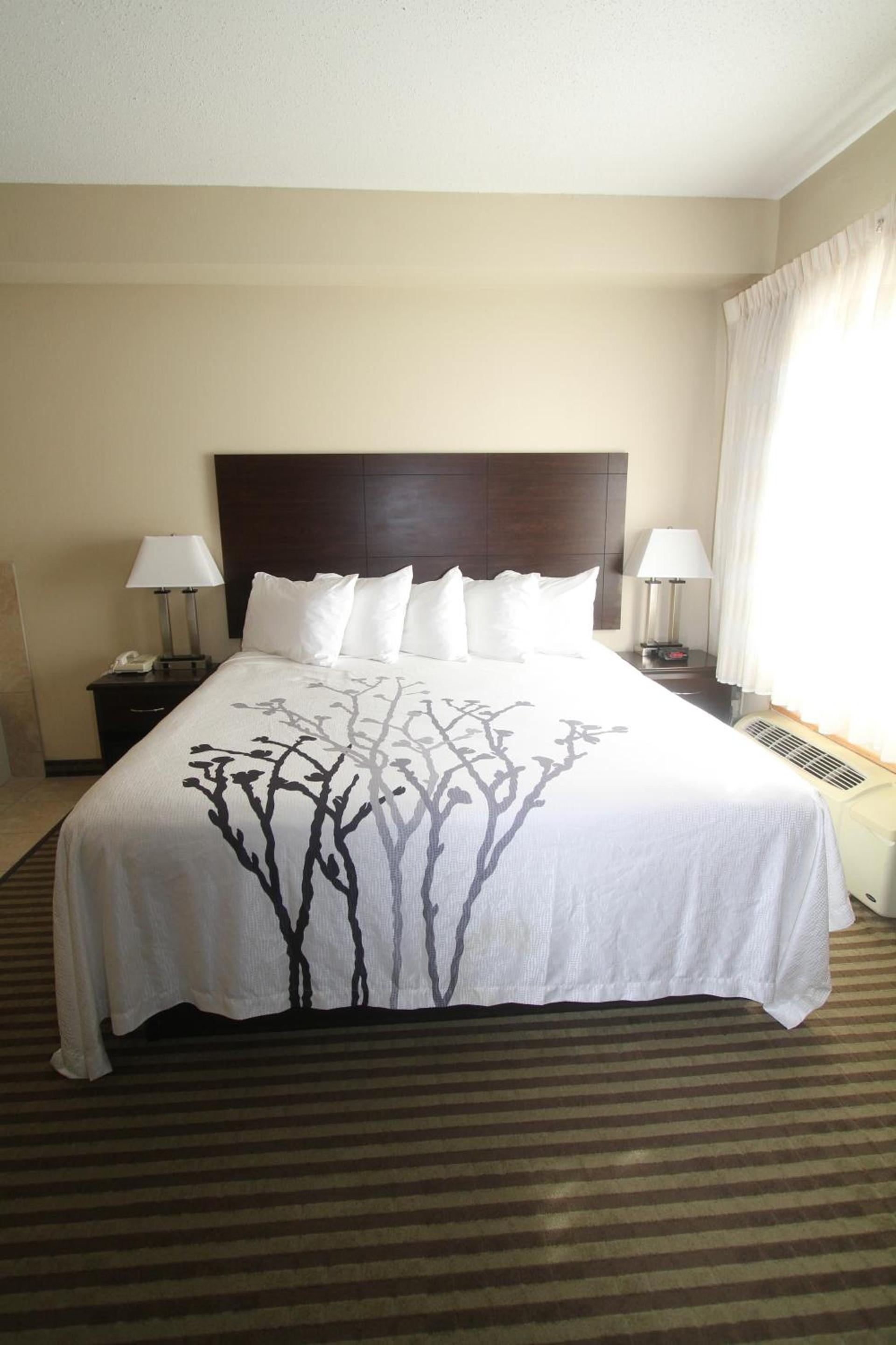 Bowman Inn and Suites photo 12