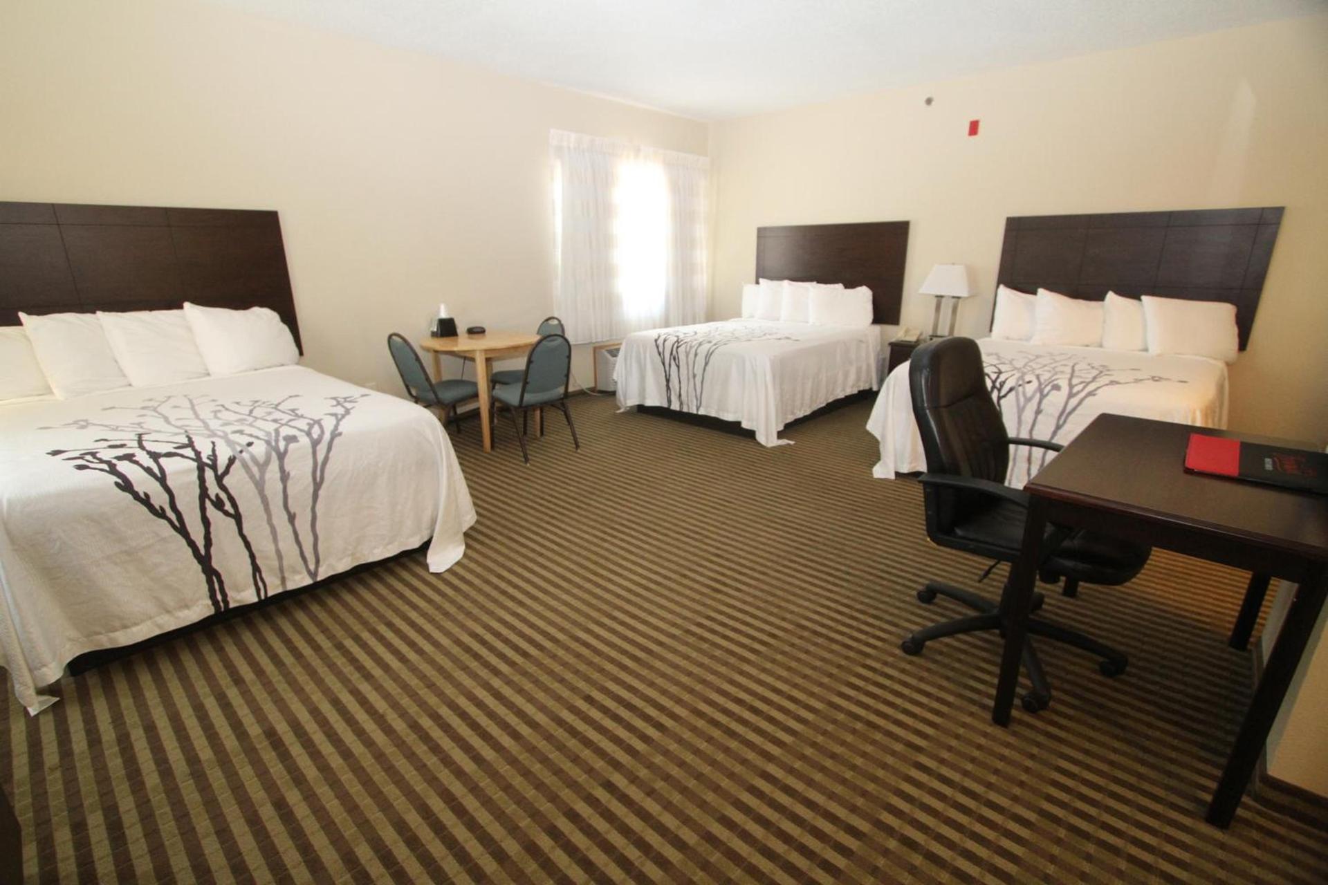 Bowman Inn and Suites photo 21
