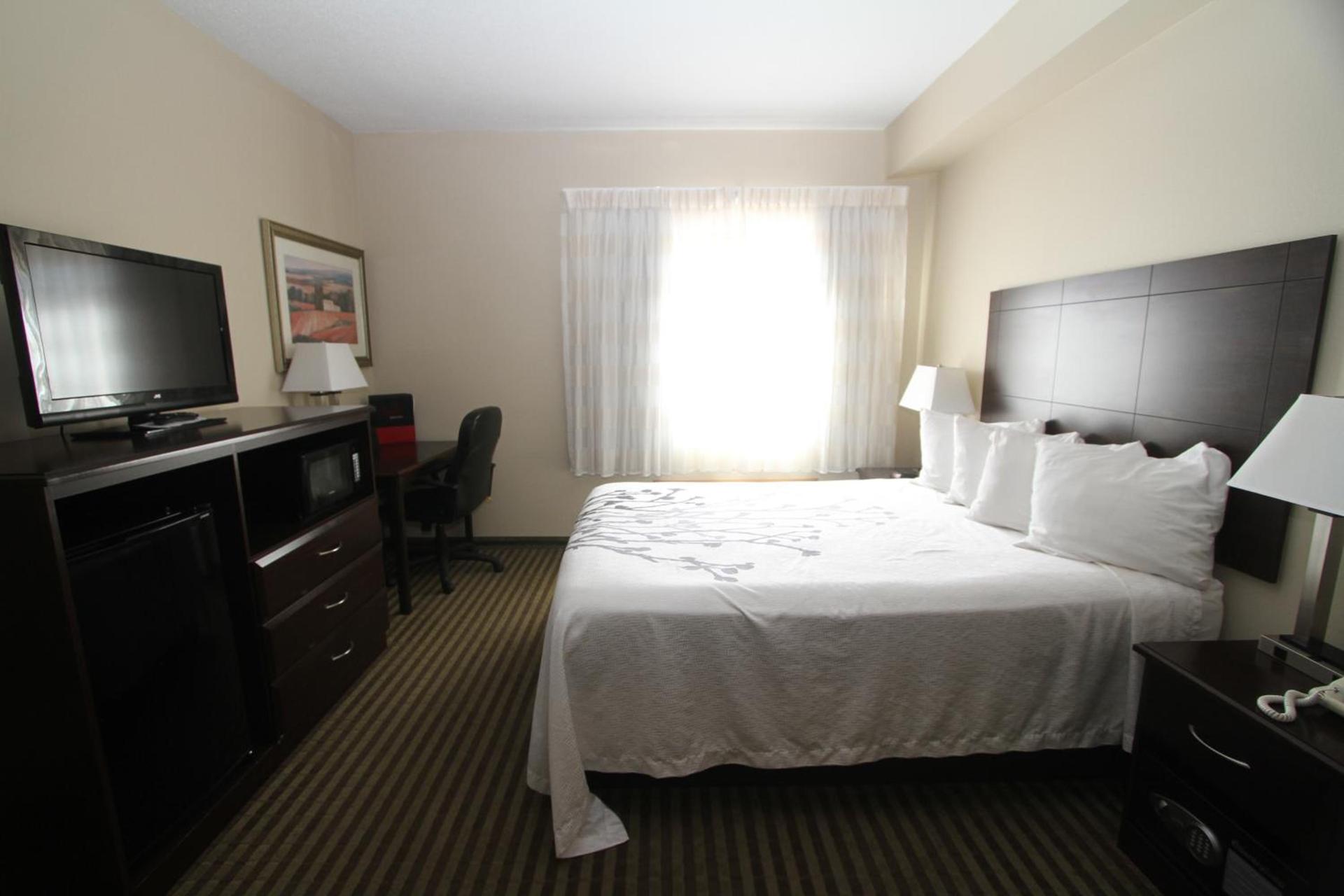 Bowman Inn and Suites photo 28