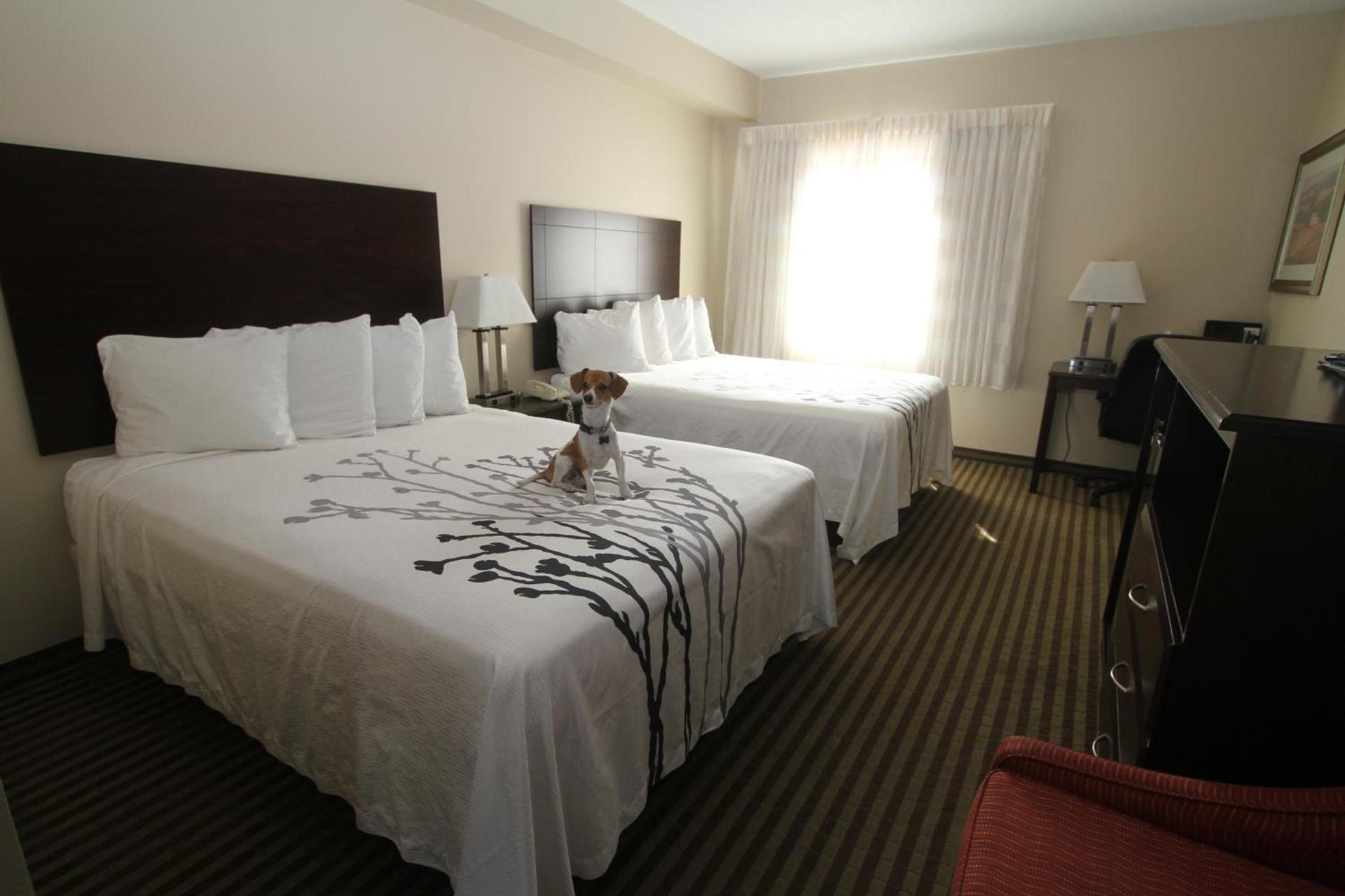 Bowman Inn and Suites photo 30