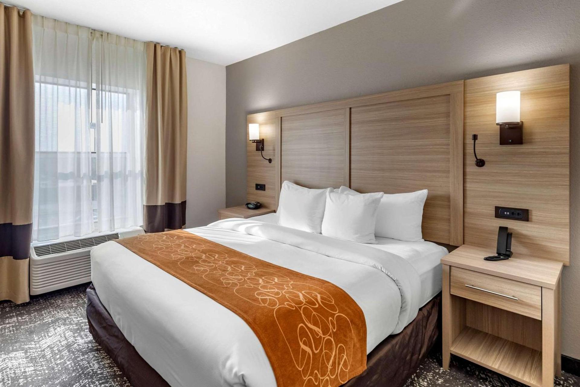 Comfort Suites Anderson-Clemson photo 6