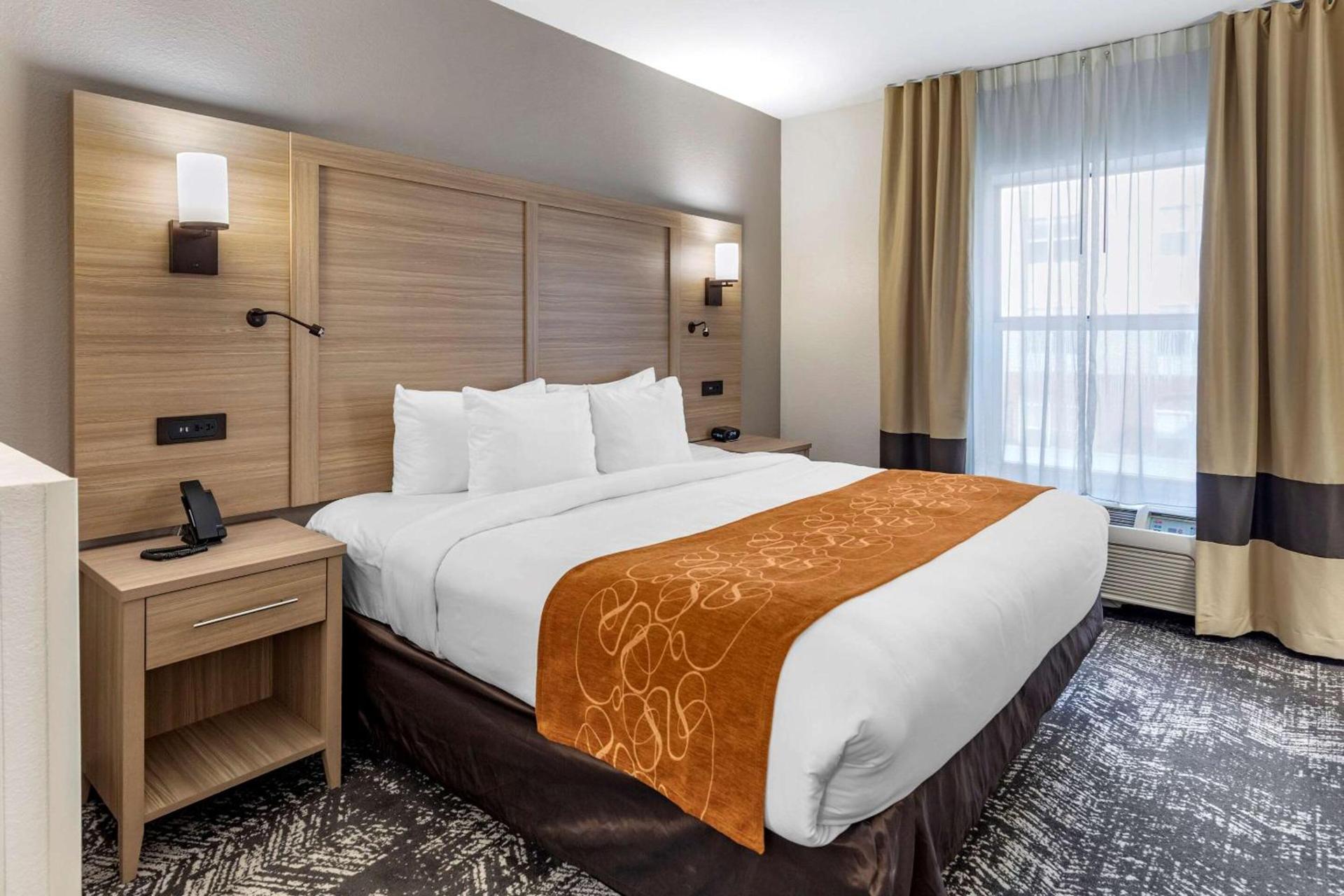 Comfort Suites Anderson-Clemson photo 15