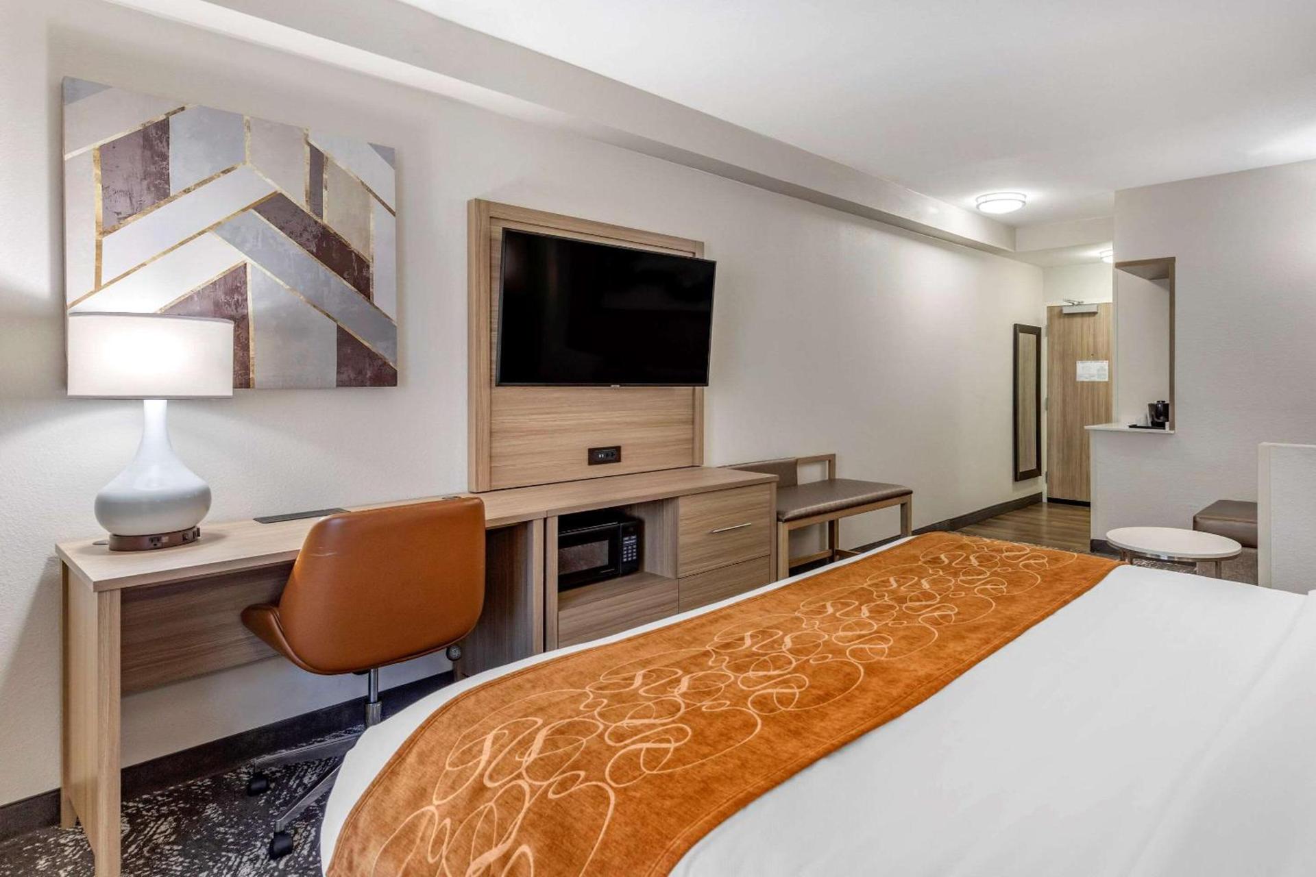 Comfort Suites Anderson-Clemson photo 17