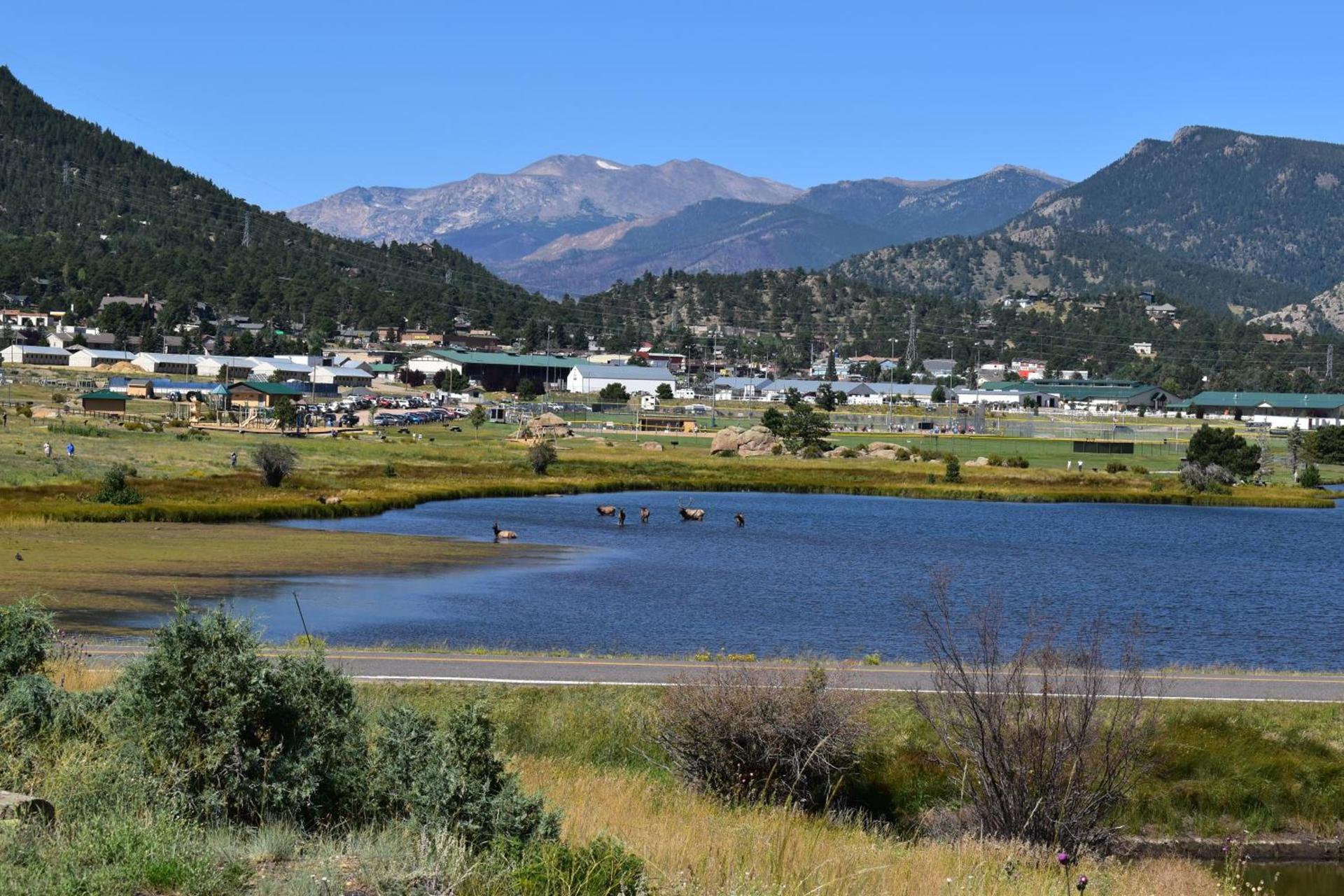 Estes Lake Lodge photo 13