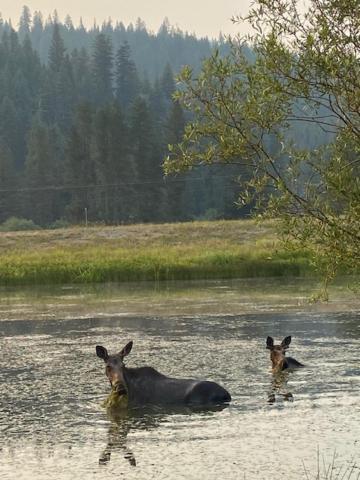 The Lodge at Lolo Hot Springs photo 41
