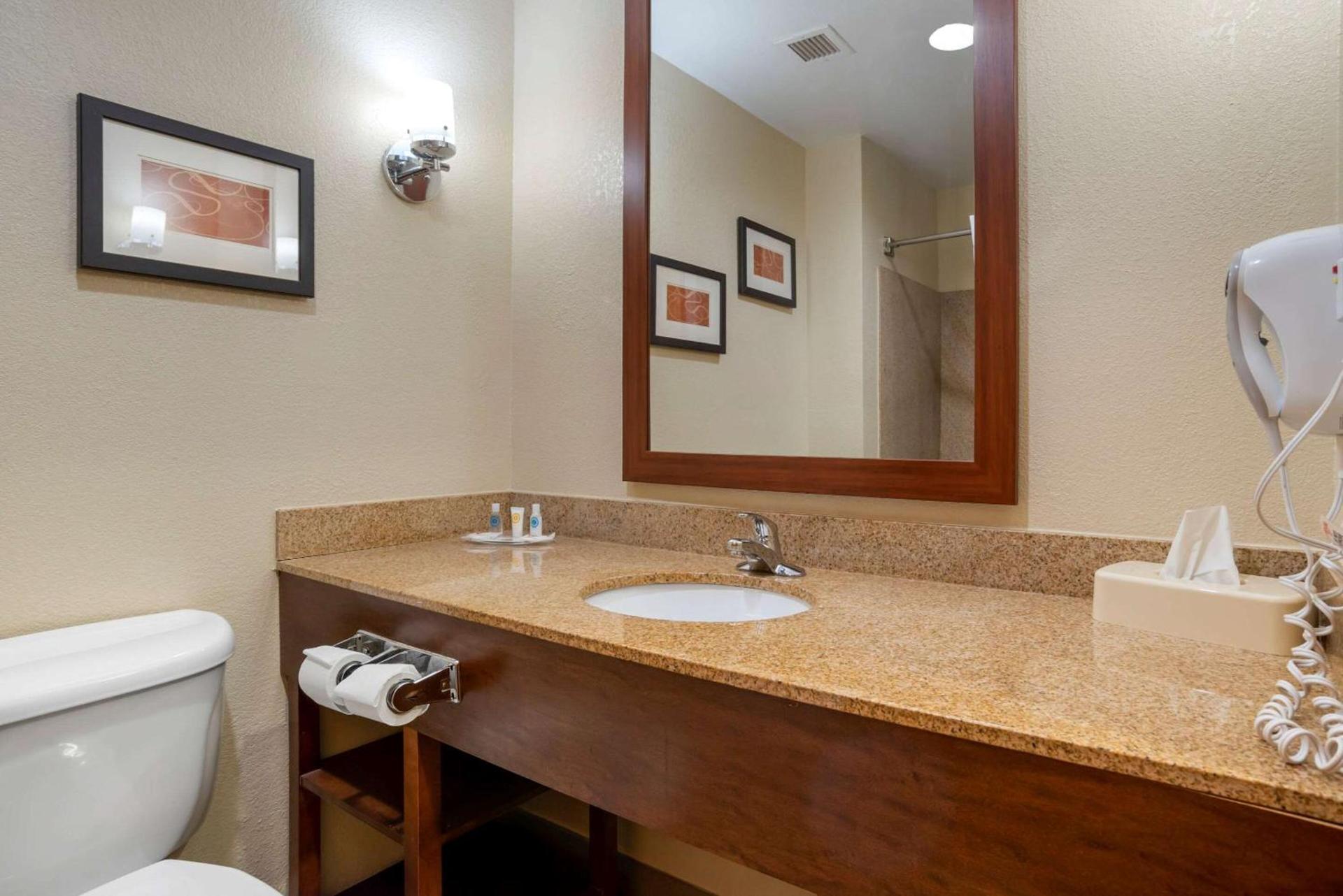 Comfort Suites Oxford I-20 exit 188 photo 20