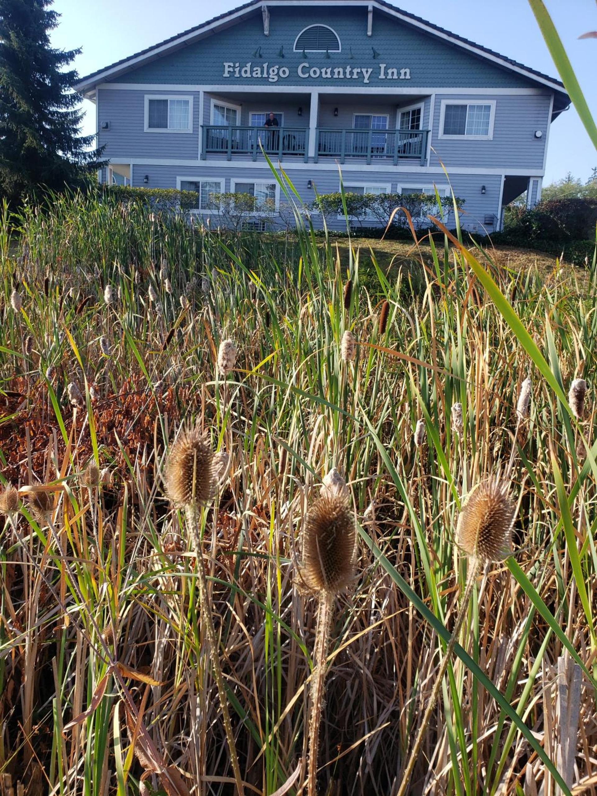 Fidalgo Country Inn photo 9