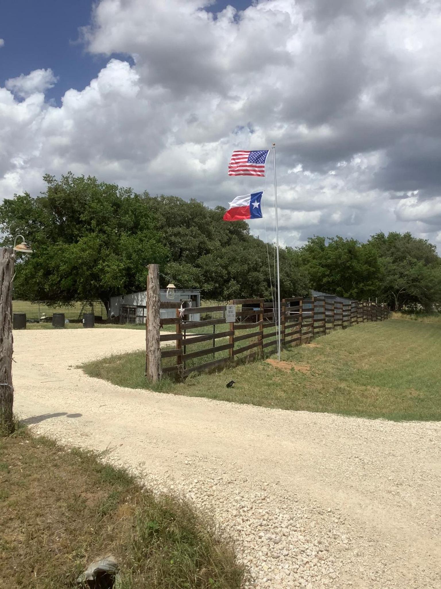 Constantino Farms photo 30