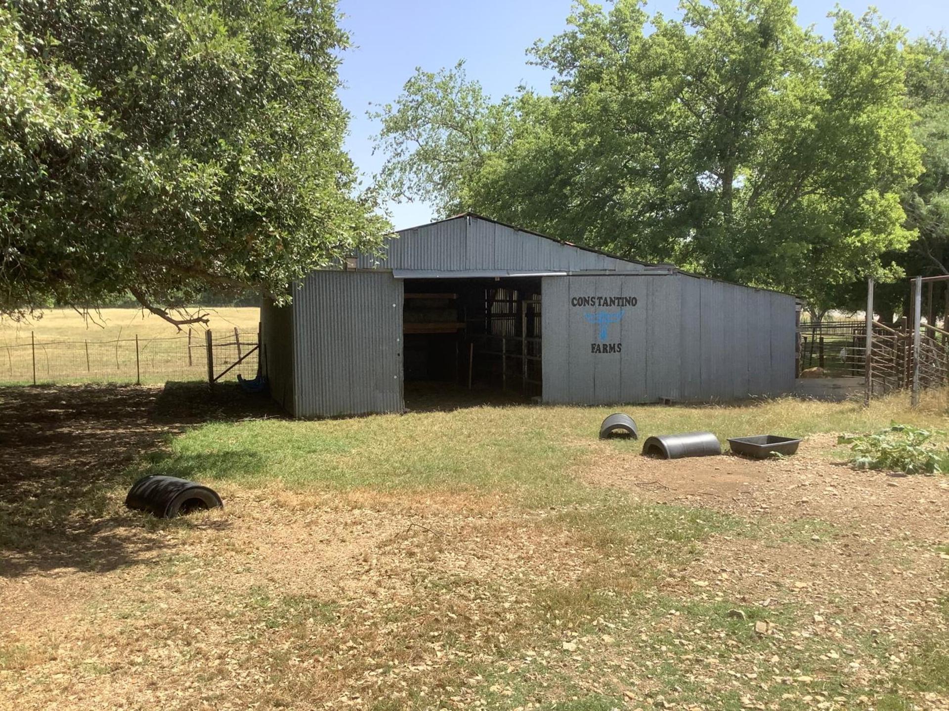 Constantino Farms photo 4