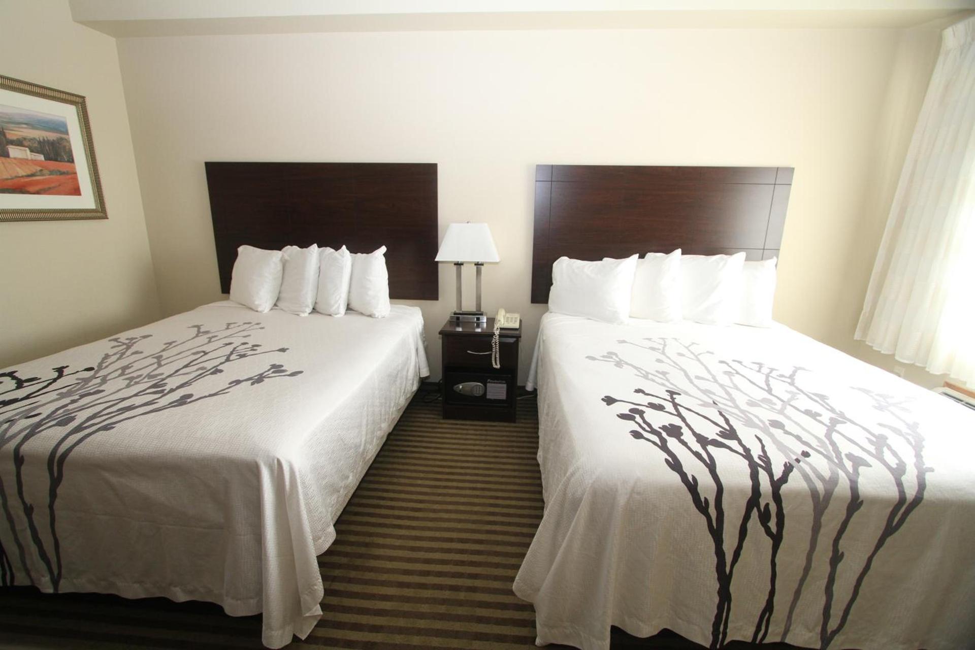 Bowman Inn and Suites photo 31