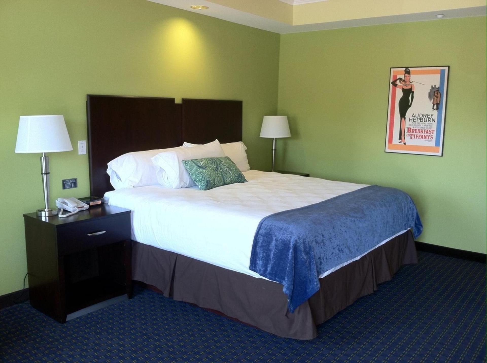 Starlight Inn photo 16