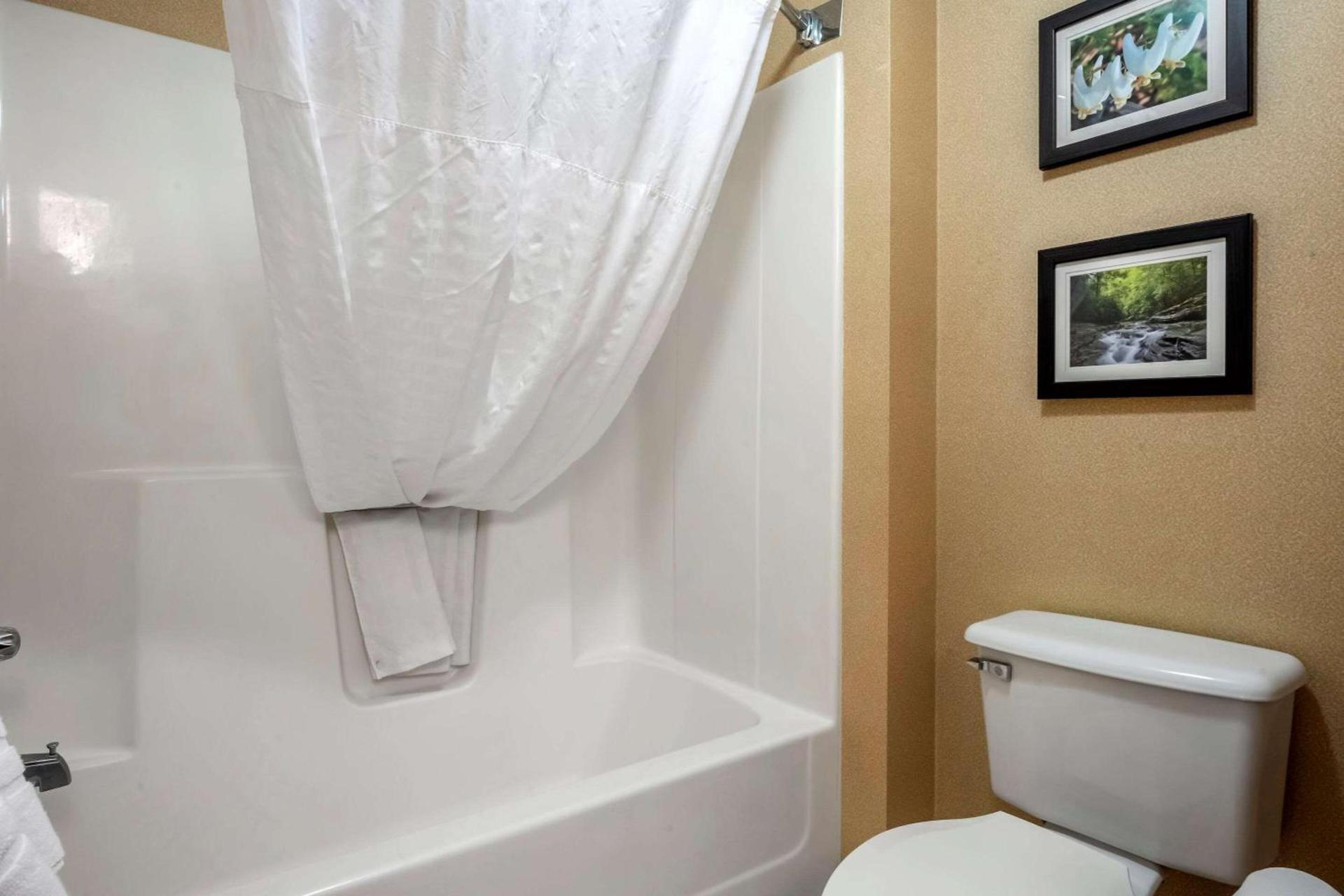 Comfort Inn Meadowlands photo 17
