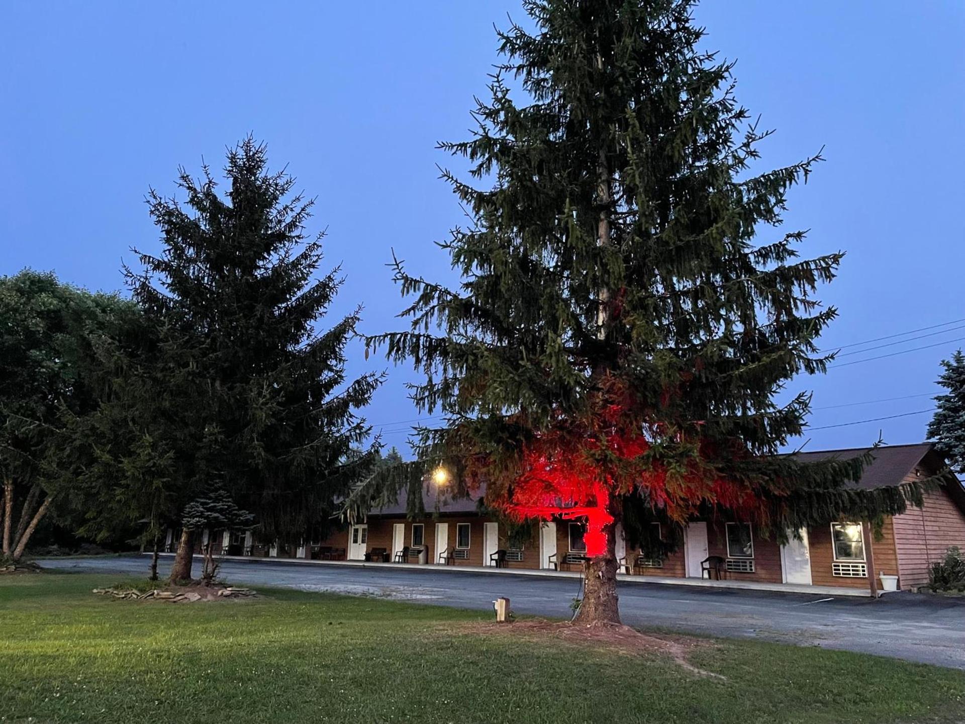 PINE VALLEY MOTEL photo 18