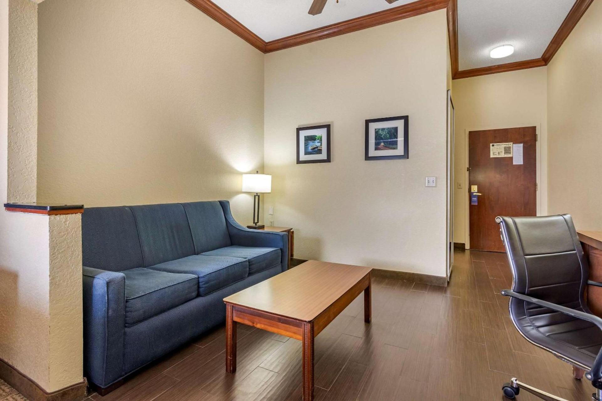 Comfort Inn & Suites Statesboro - University Area photo 16