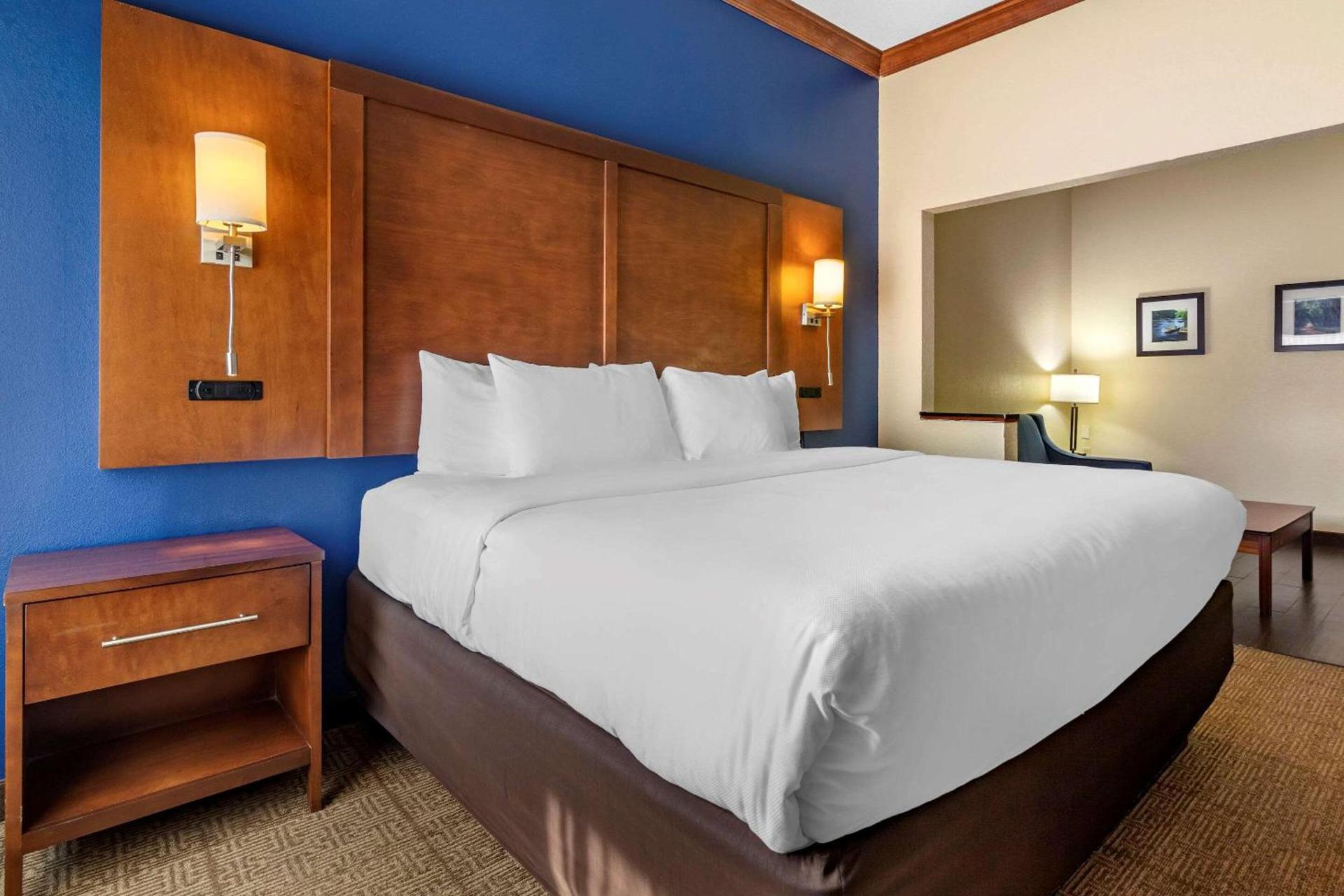 Comfort Inn & Suites Statesboro - University Area photo 17