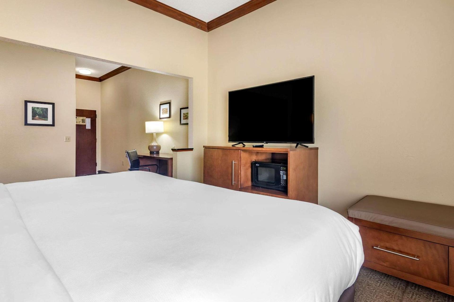 Comfort Inn & Suites Statesboro - University Area photo 18