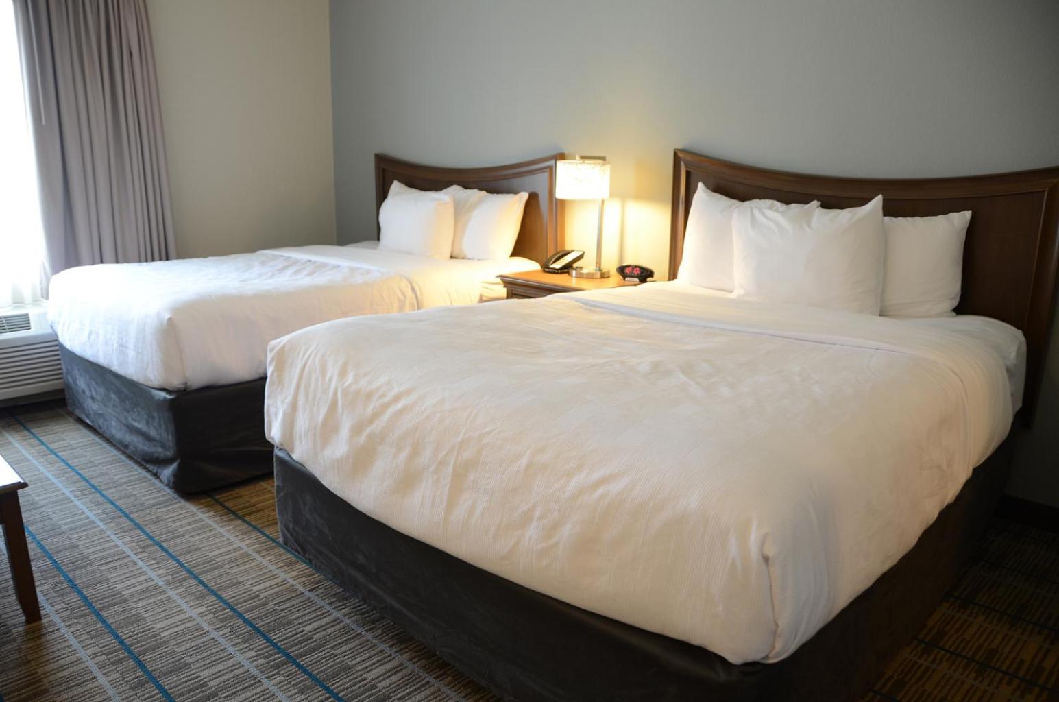 MainStay Suites at Discovery Park of America photo 17