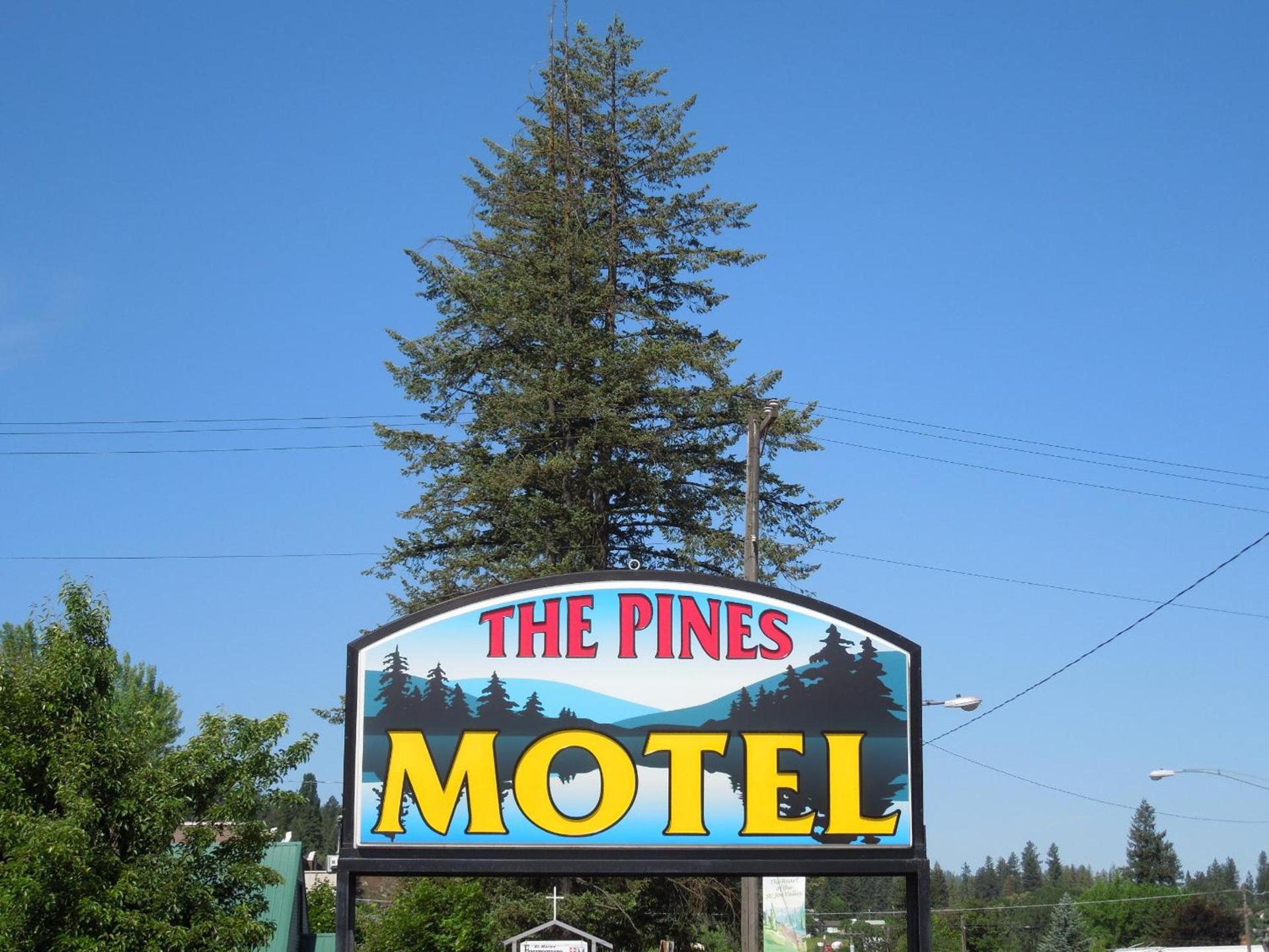 The Pines Motel photo 4