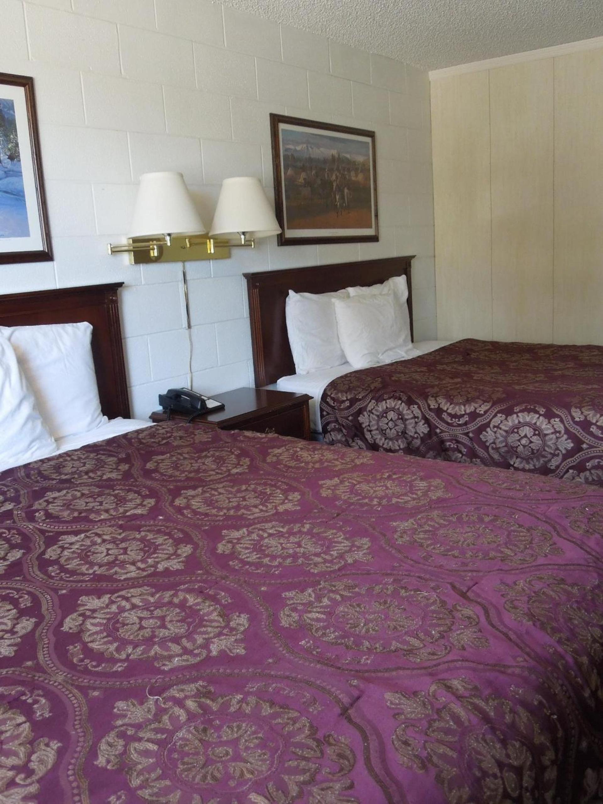 The Pines Motel photo 27