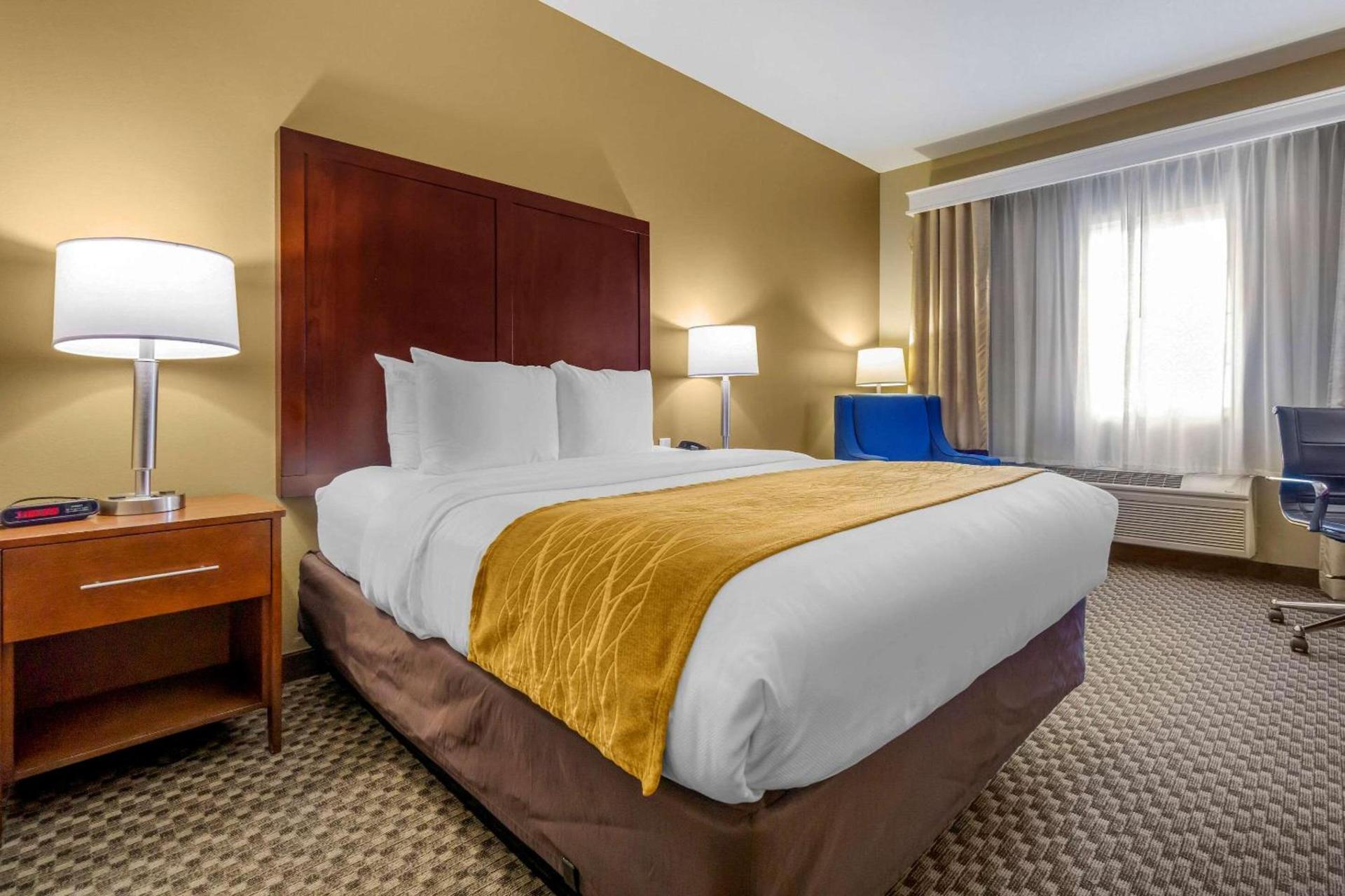 Comfort Inn Auburn - Seattle photo 11