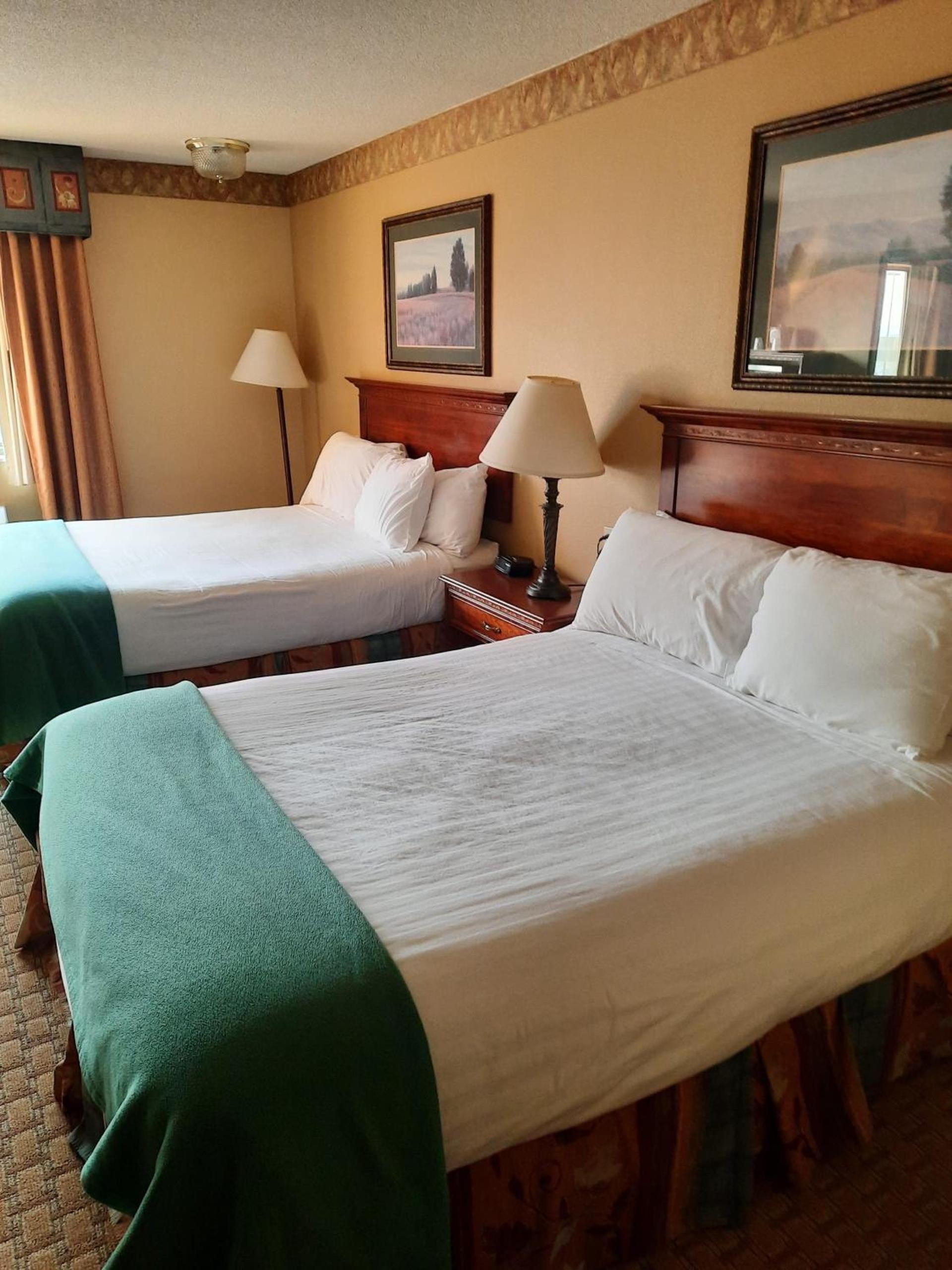 Horse Creek Inn photo 41