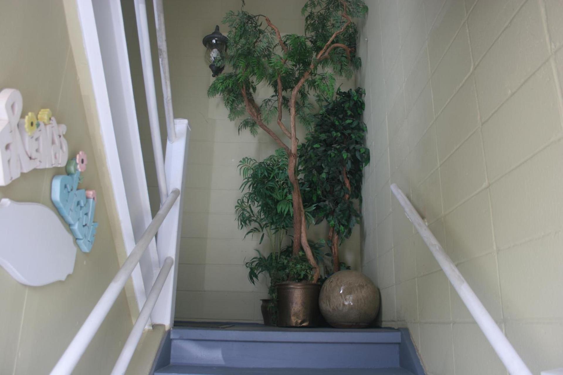 Fountain Inn photo 65