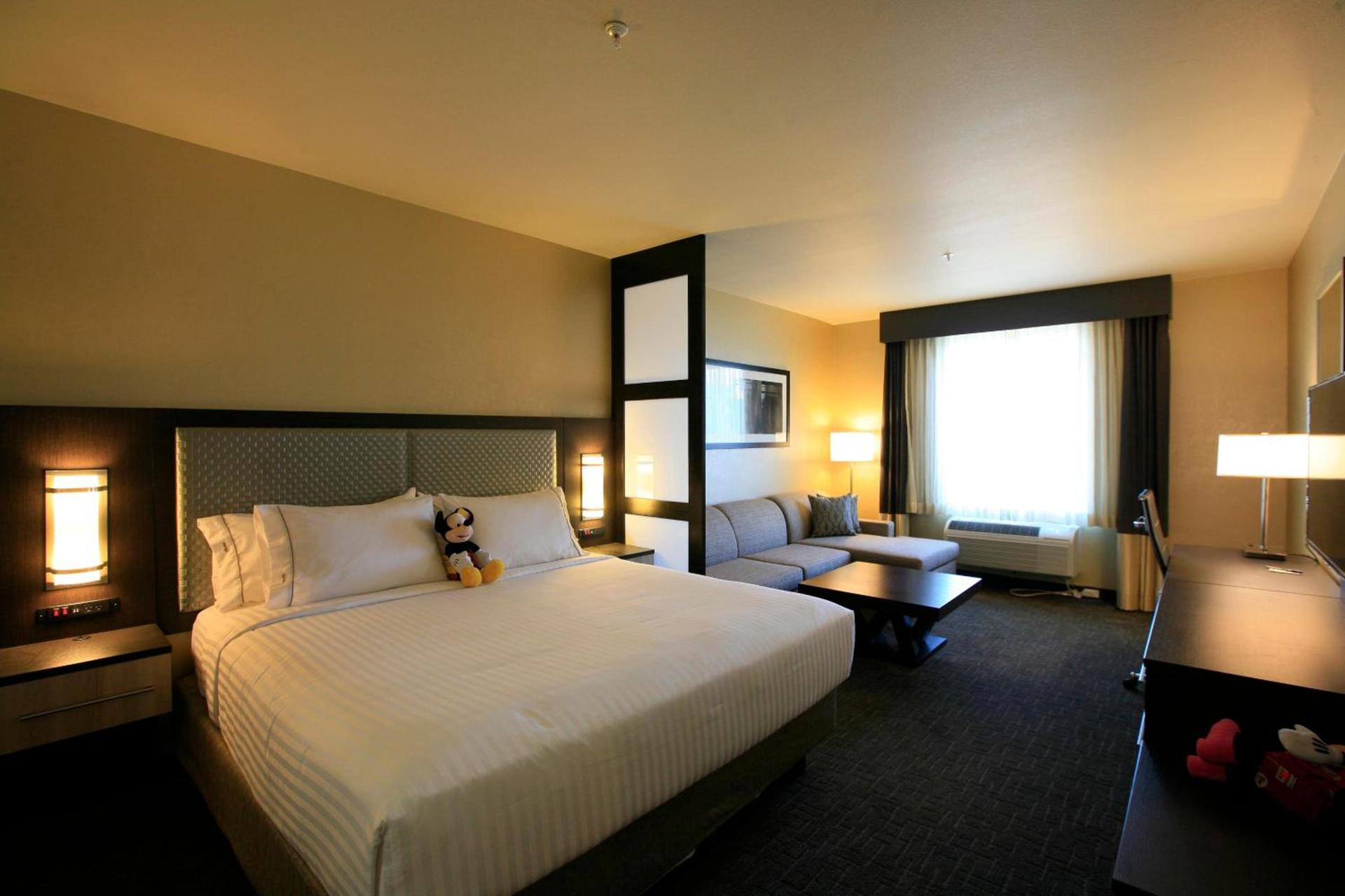 Holiday Inn Express & Suites Anaheim Resort Area by IHG photo 47