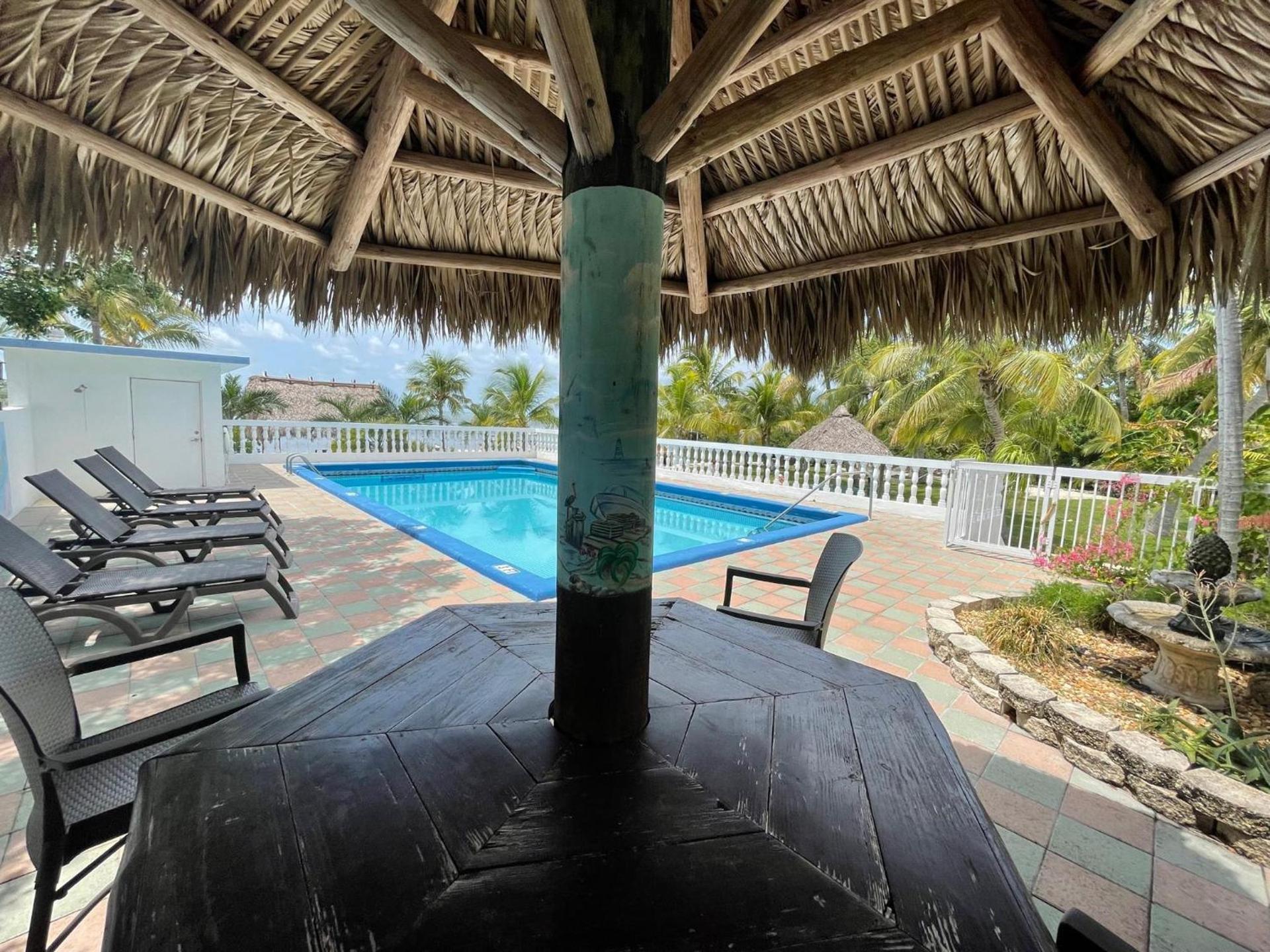 Gulf View Waterfront Resort photo 17