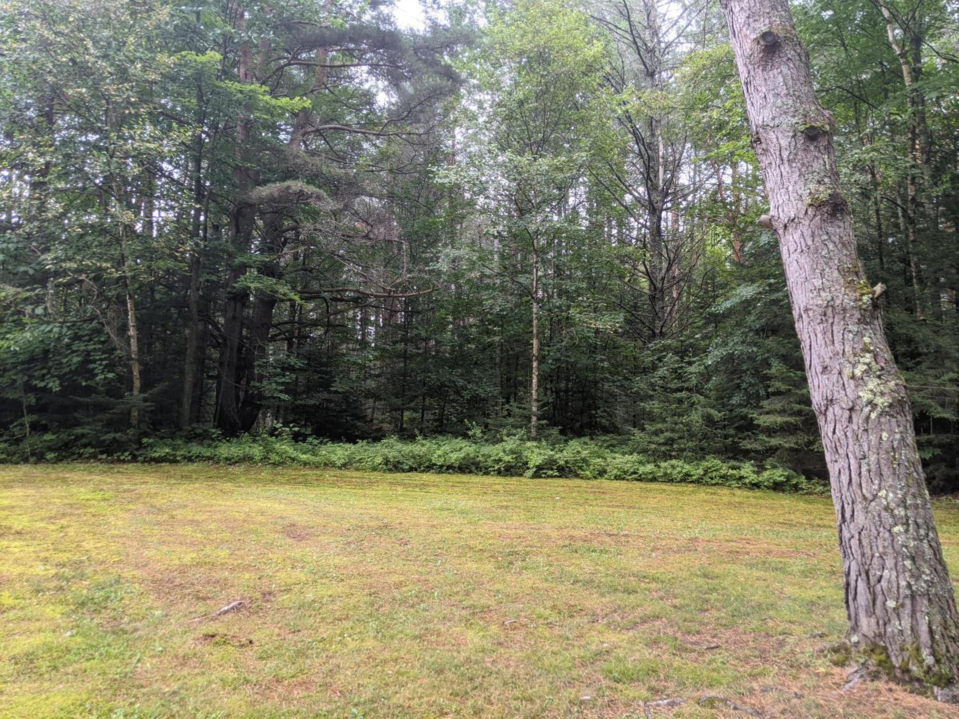 Moreno's Adirondack Cabins photo 31
