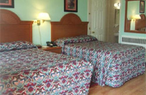 Robin Hood Motel photo 7